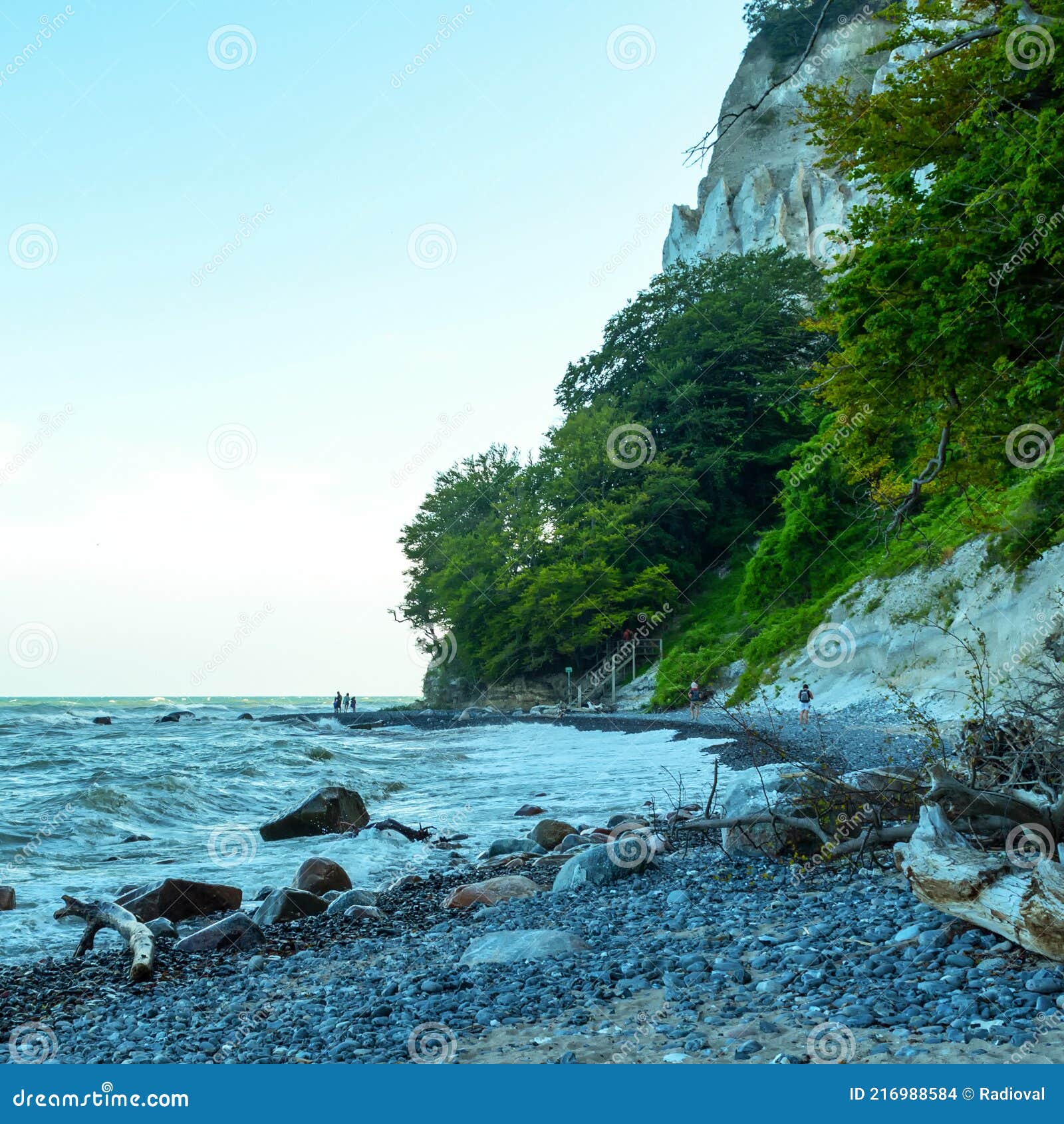 beautiful seascape. mons clint. denmark. seascape. nature.