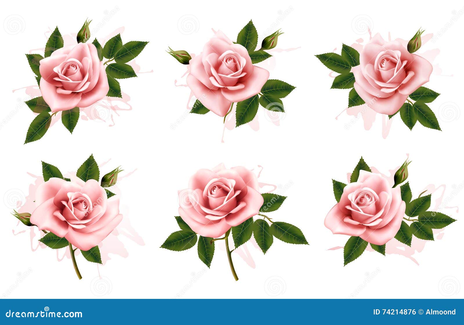 Beautiful Set of Pink Ornate Roses with Leaves. Stock Vector ...