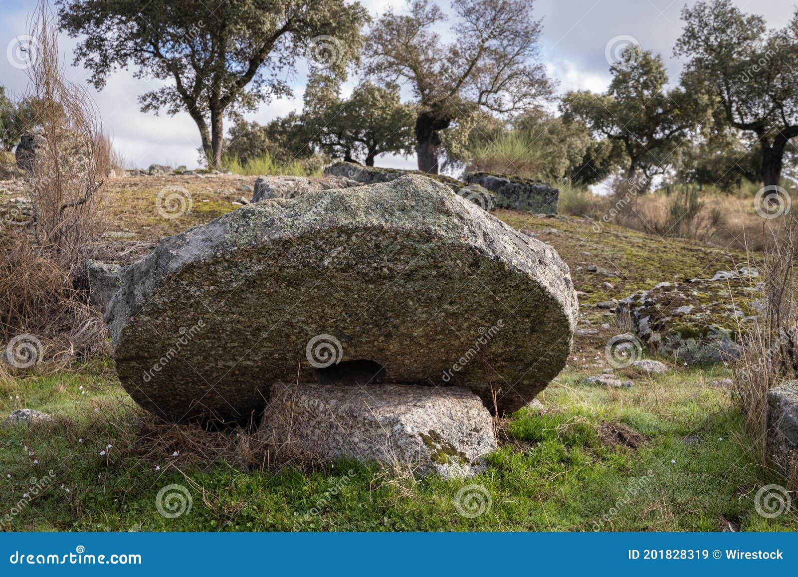 beautiful shot of an abandoned ancient mill wheel in dehesa de la luz natural environment, spain