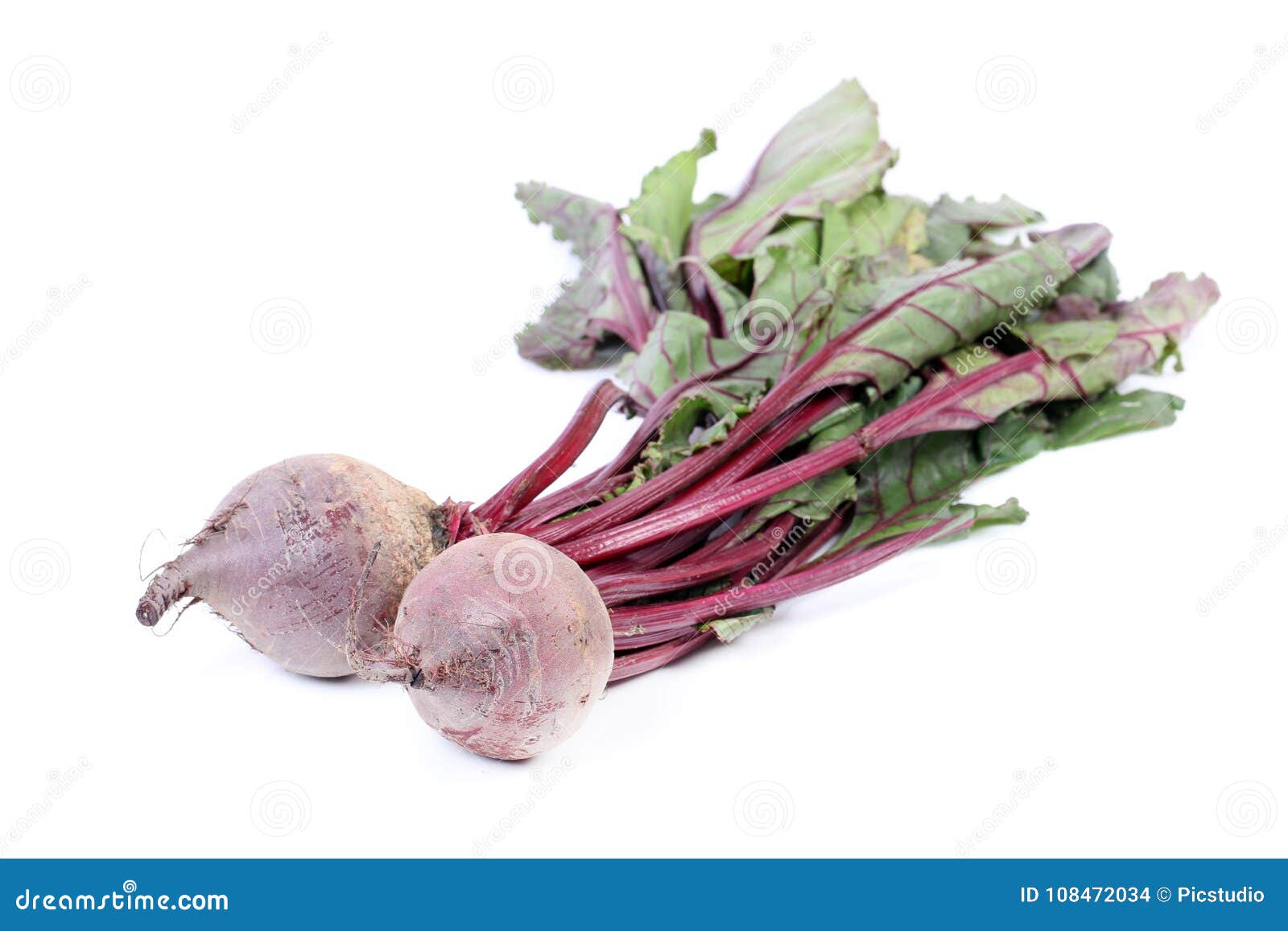 Beat root Image of vegetable, colored - 108472034