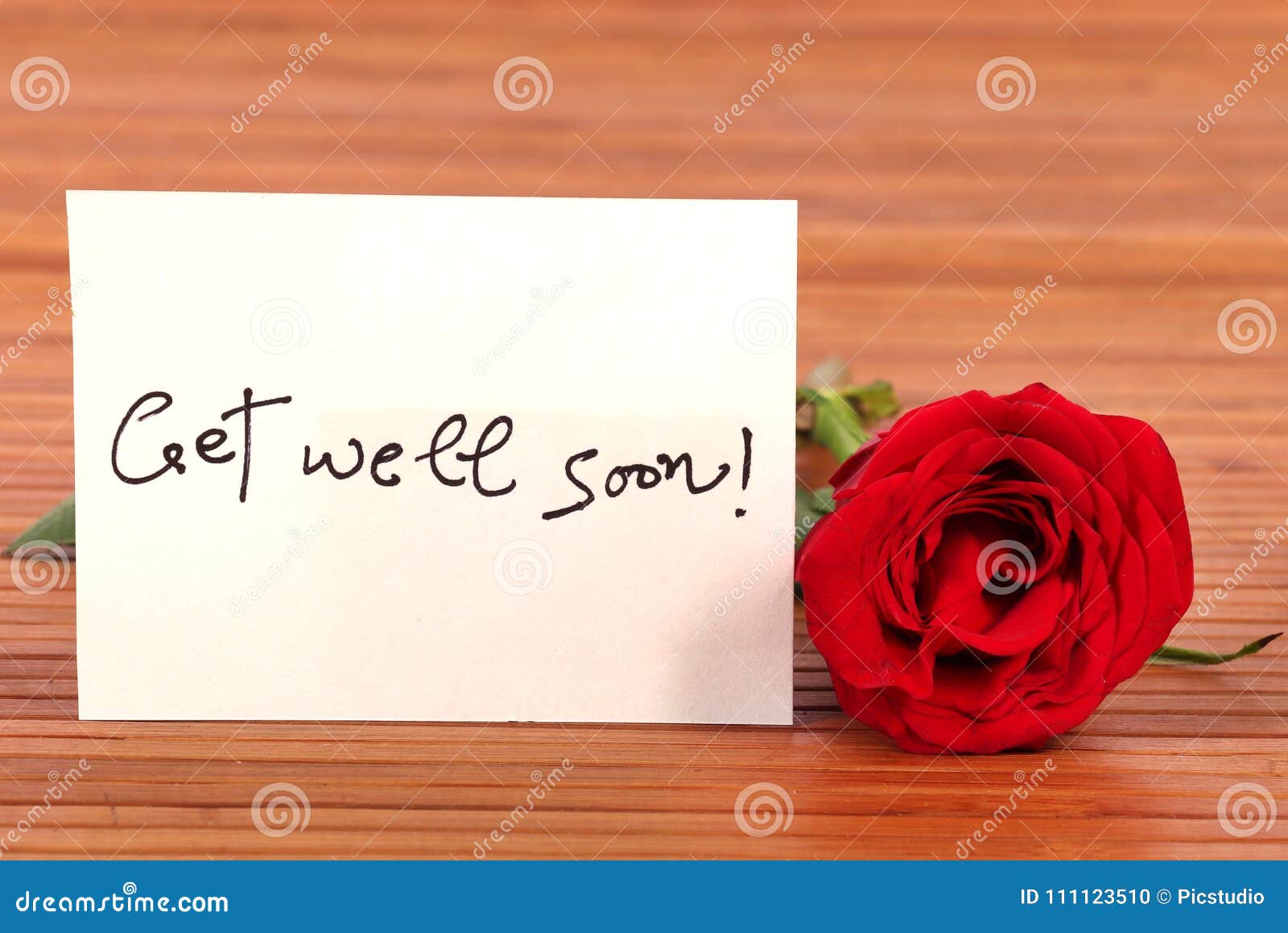 Get well soon stock photo. Image of flower, nature, chit - 111123510