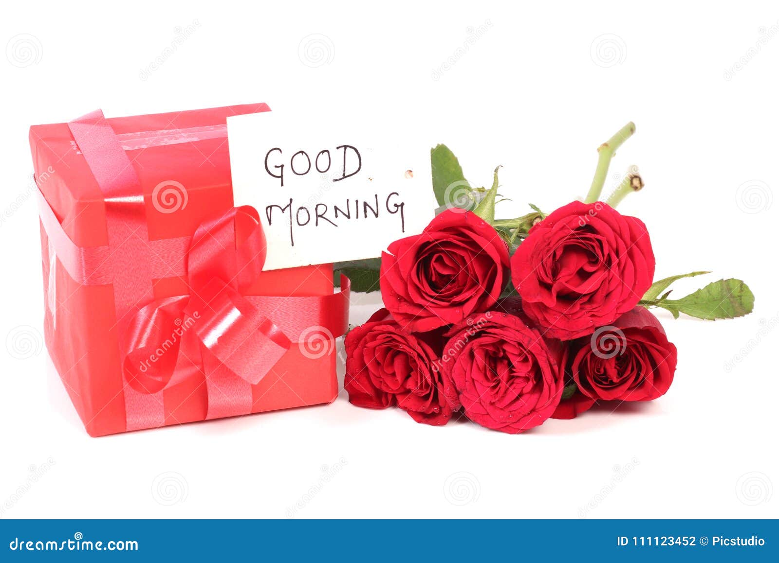 Good Morning Surprise Stock Photo Image Of Rose Background