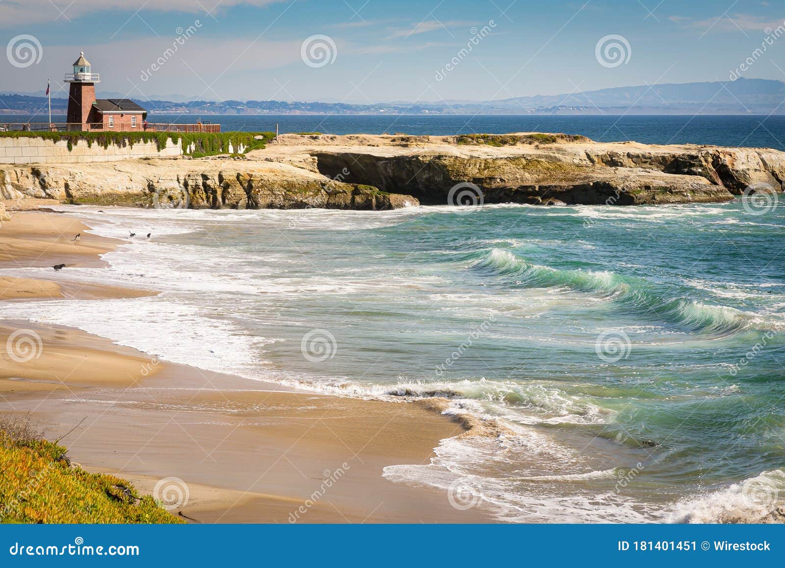 Beautiful Shot of the Lighthouse Field State Beach in Santa Cruz