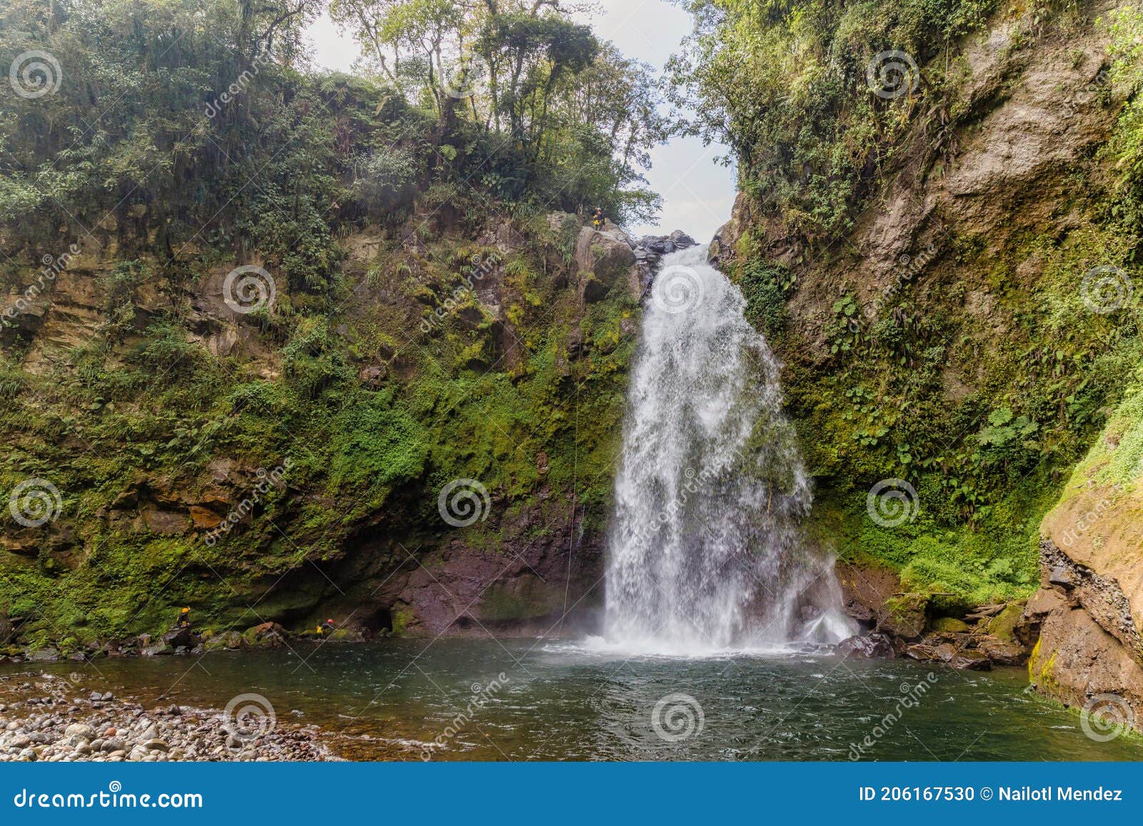 a beautiful shot of a waterfall flowing through a missy rough cliff in xico, veracruz, mexico