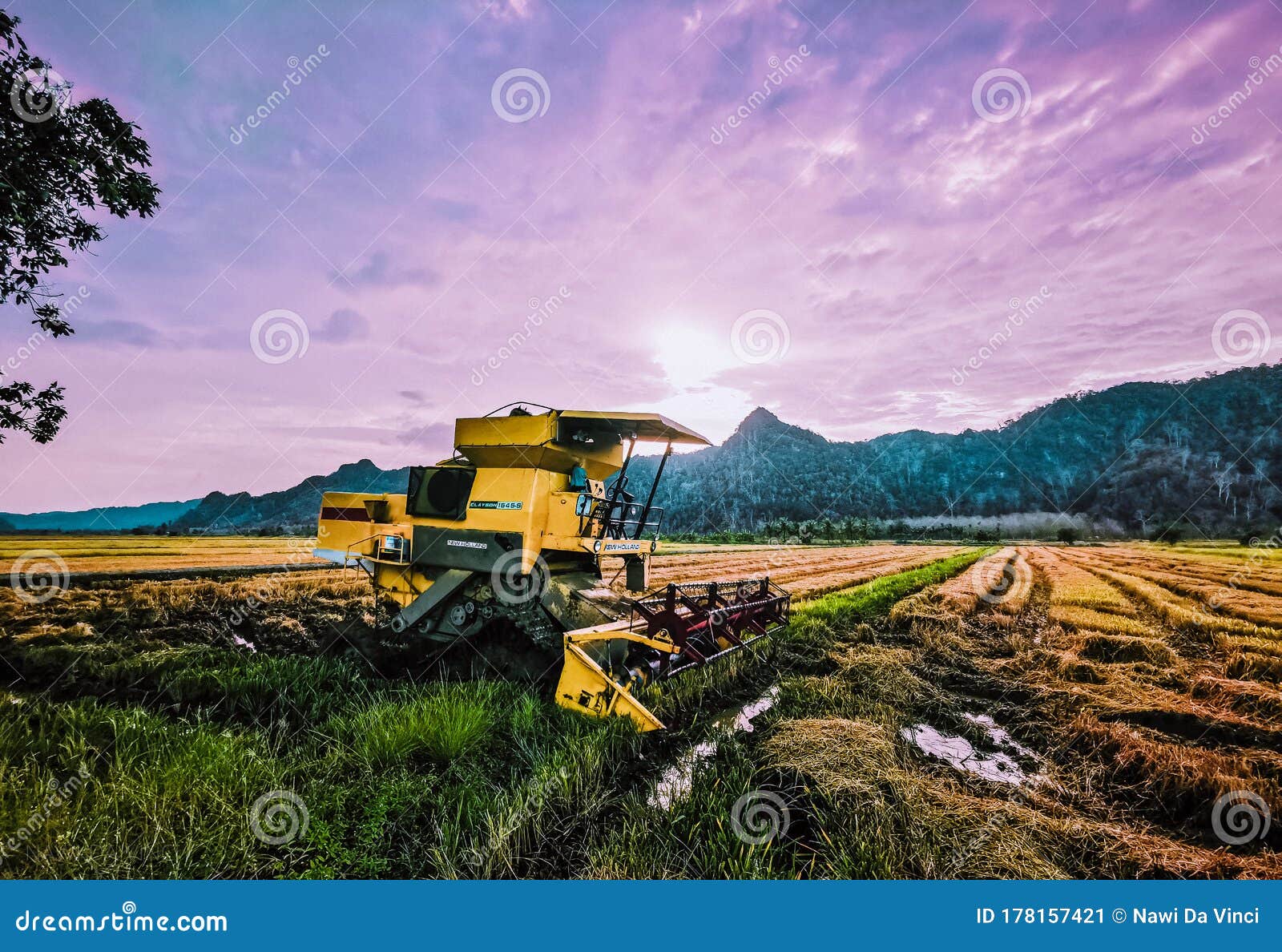 407 Perlis Malaysia Photos Free Royalty Free Stock Photos From Dreamstime