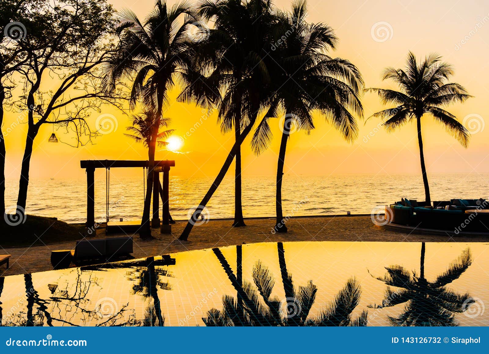 Beautiful Silhouette Coconut Palm Tree On Sky Around Swimming Pool In