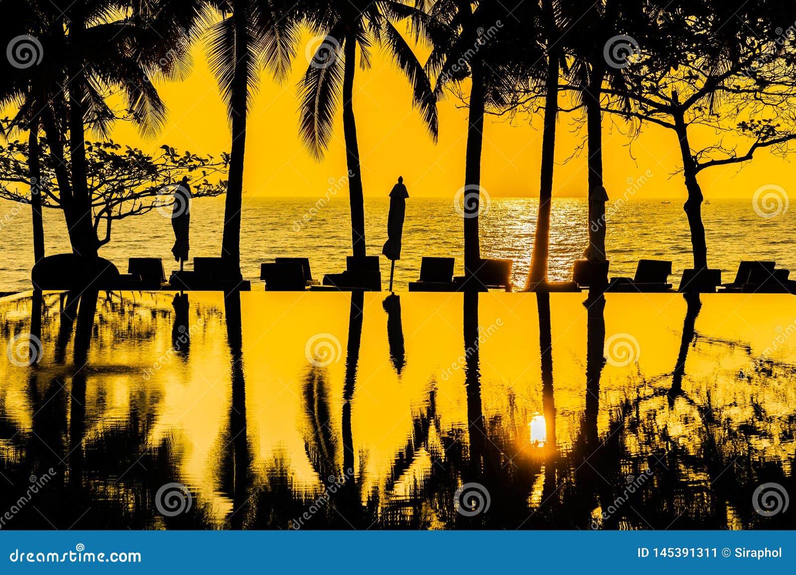 Beautiful Silhouette Coconut Palm Tree On Sky Around Swimming Pool In