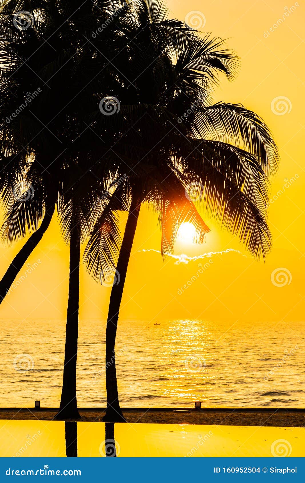 Beautiful Silhouette Coconut Palm Tree On Sky Around Swimming Pool In