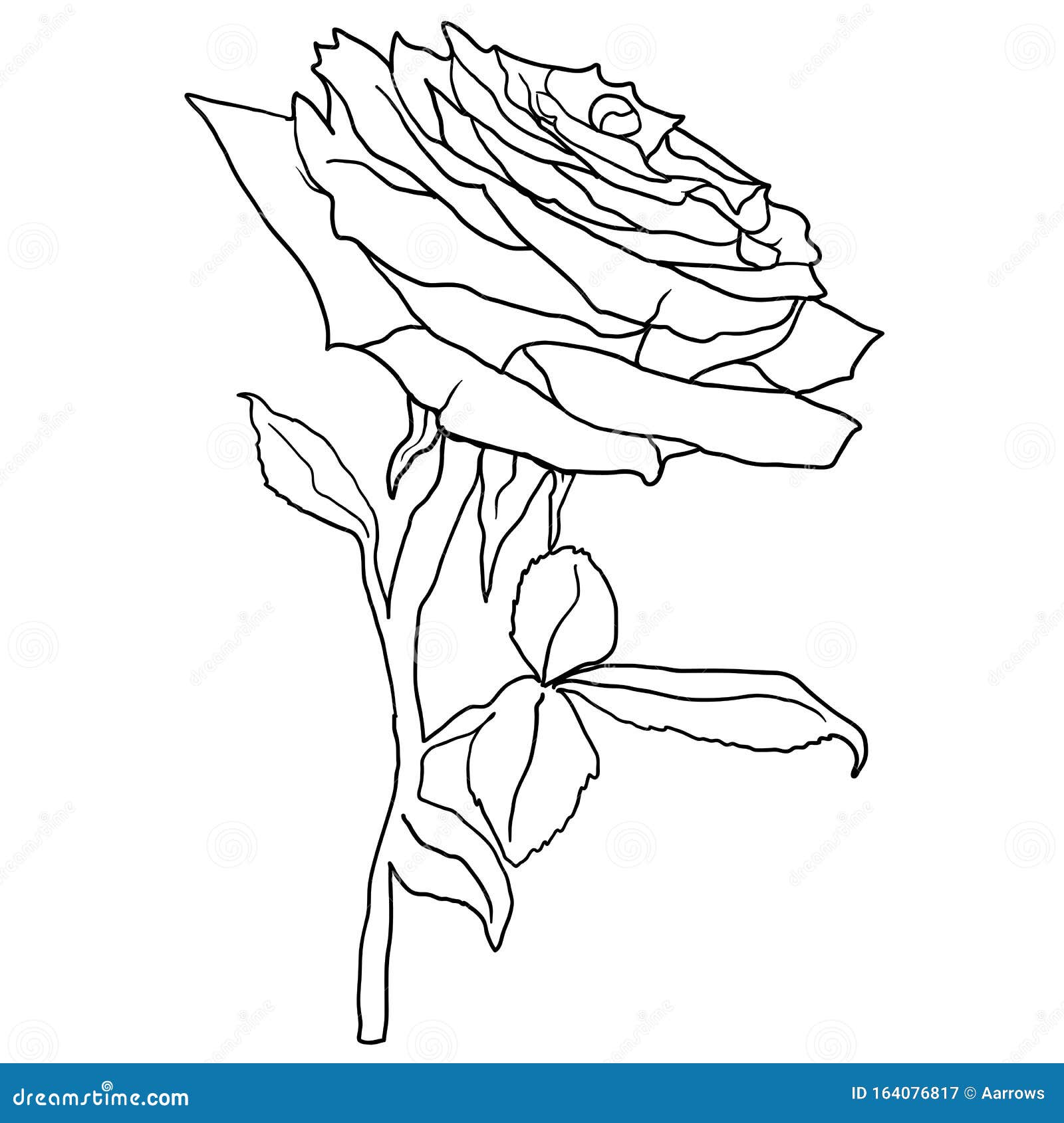 Beautiful Sketch of a Rose Flower on a White Background Stock Vector ...