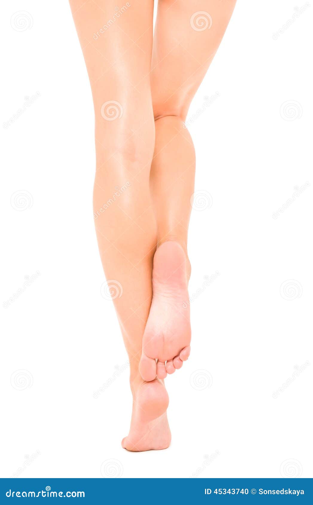 beautiful slender female legs