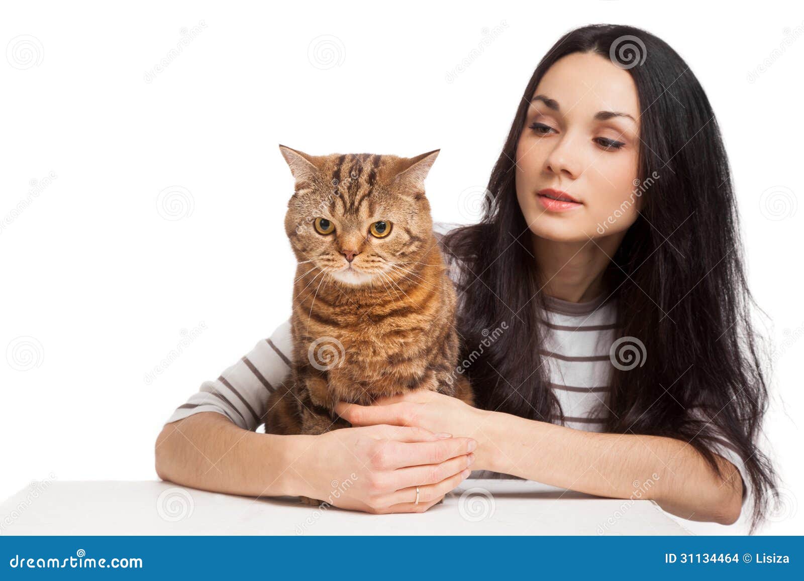 Beautiful Smiling Brunette Girl And Her Ginger Cat Over White Ba Stock