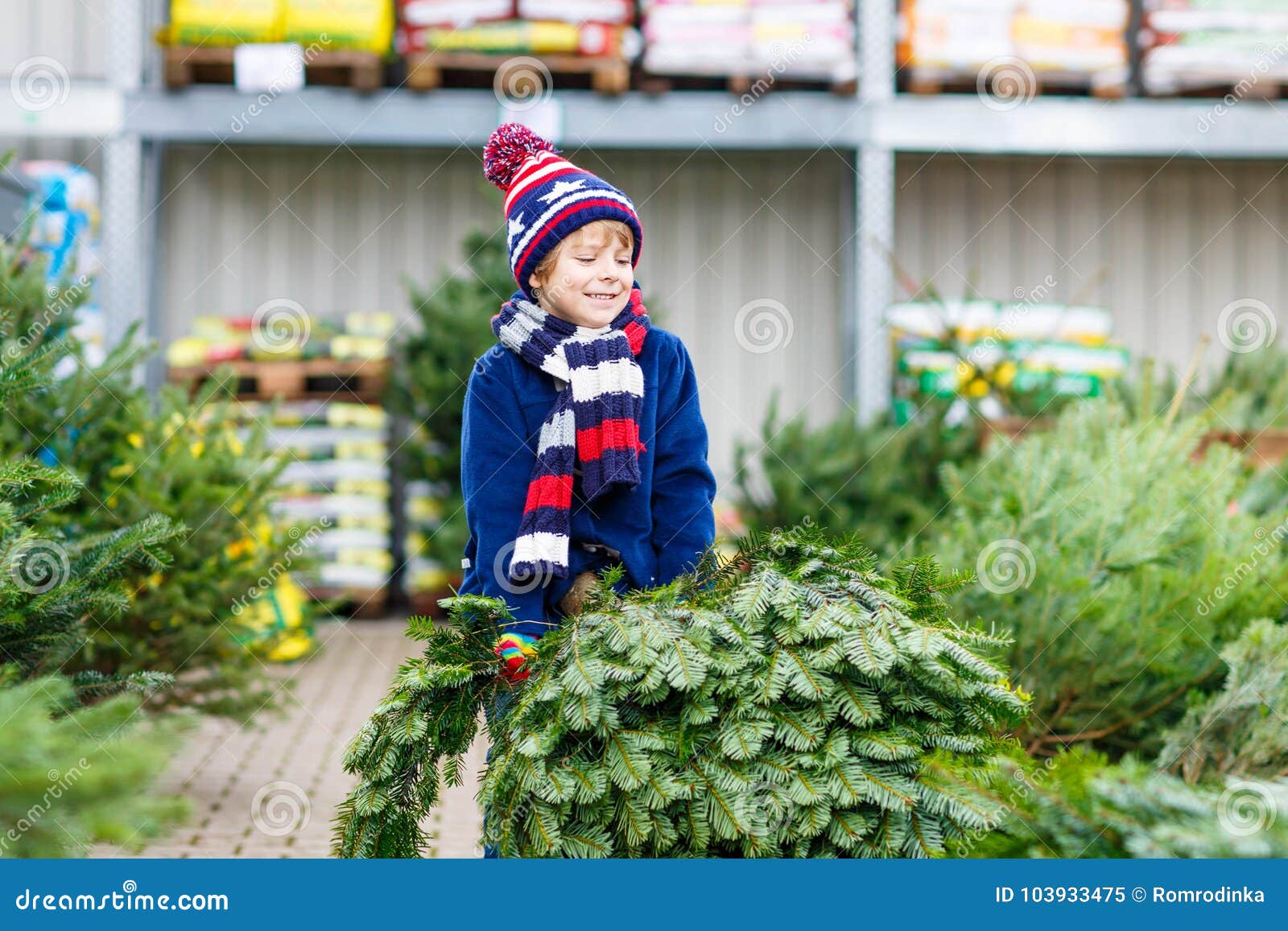 Beautiful Smiling Little Boy Holding Christmas Tree Stock Image - Image ...