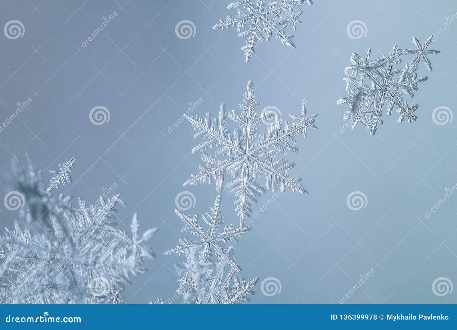 beautiful snow flake on a light blue background close up