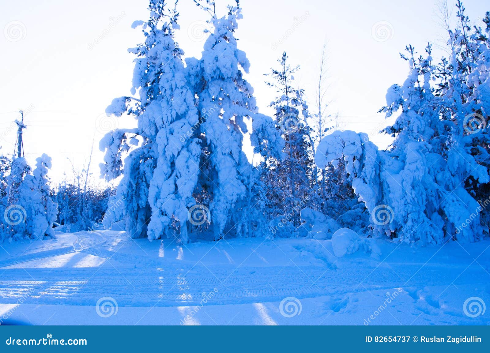 Beautiful Snowy Winter In Russia Stock Image Image Of Frost Park 82654737