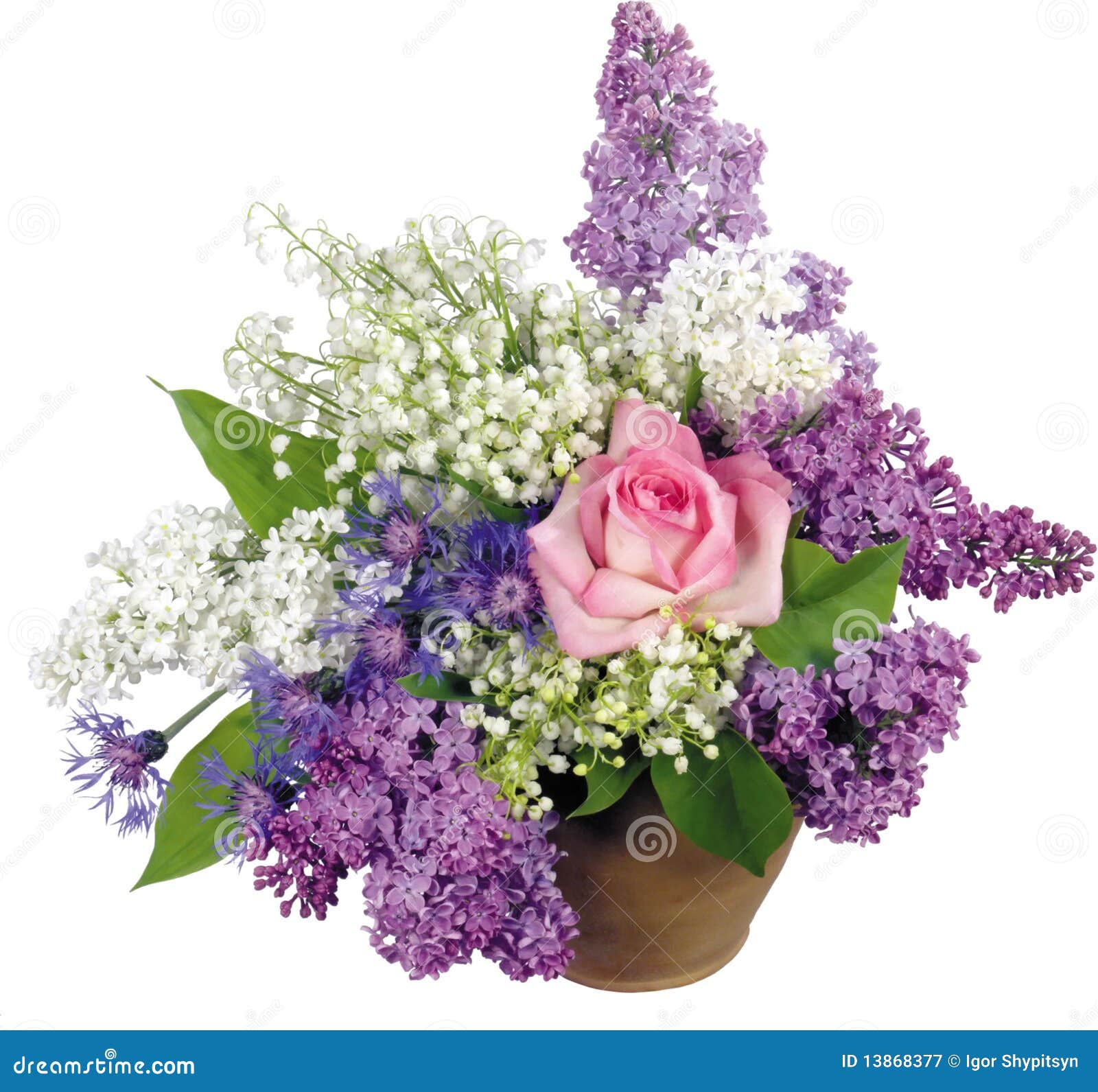 Beautiful spring bouquet. stock image. Image of valley 13868377