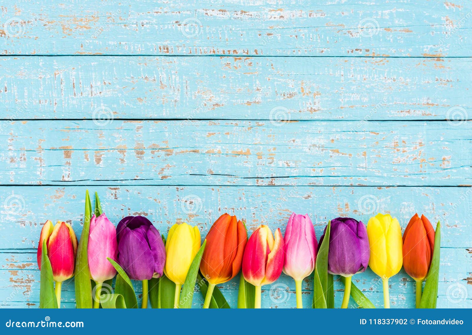 spring flowers background