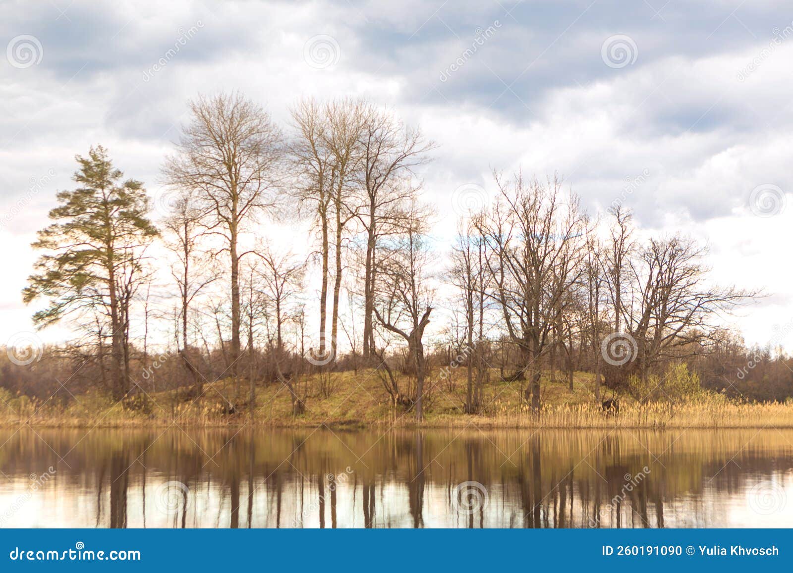 beautiful spring landscape with river and forest.