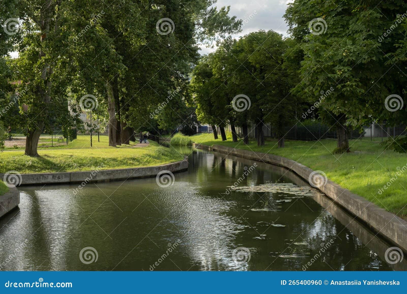 beautiful spring river and forest. nature reflection of trees in the water. abstract natural background. blurry