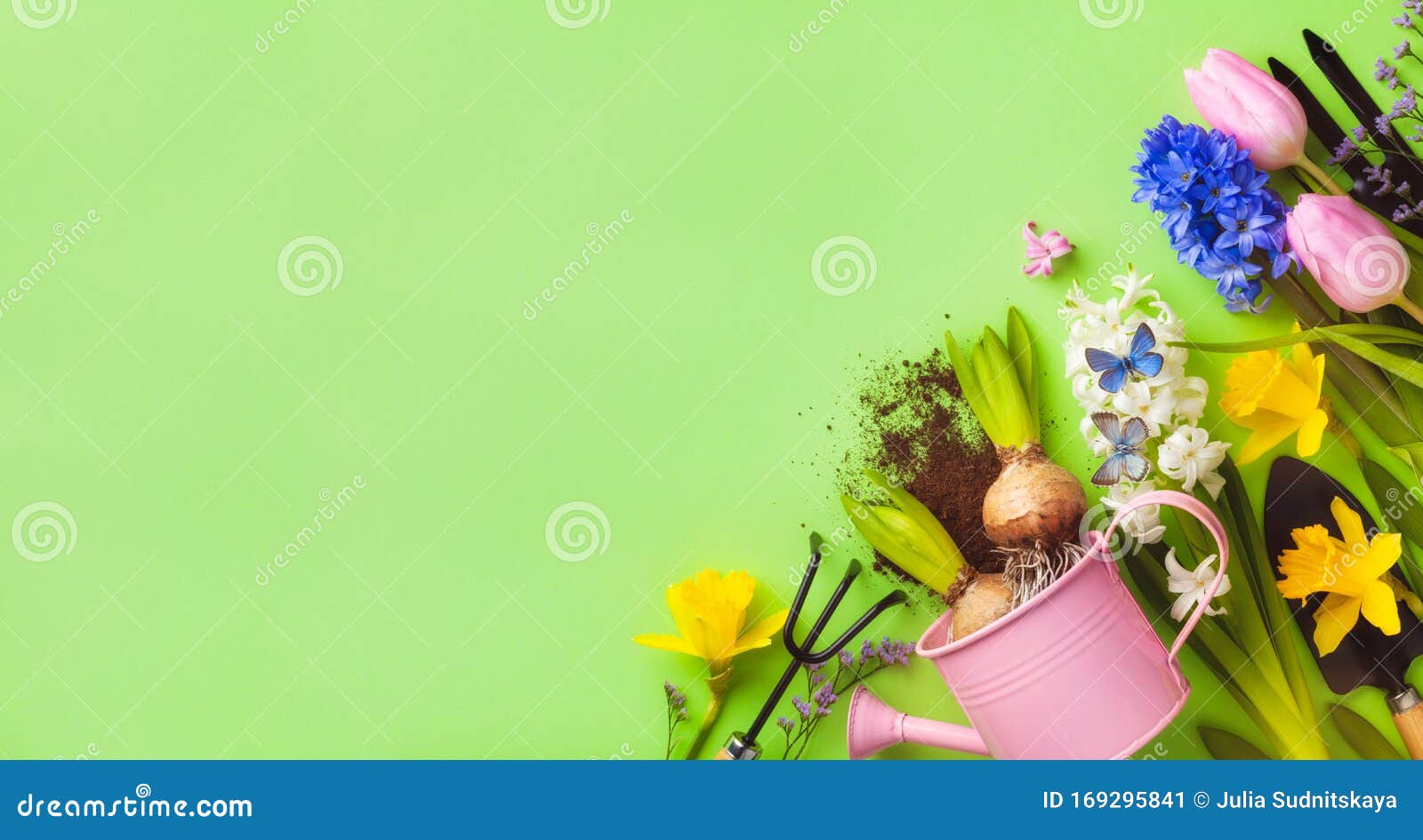 beautiful springtime background with gardening tools, colorful spring flowers and butterflies. top view