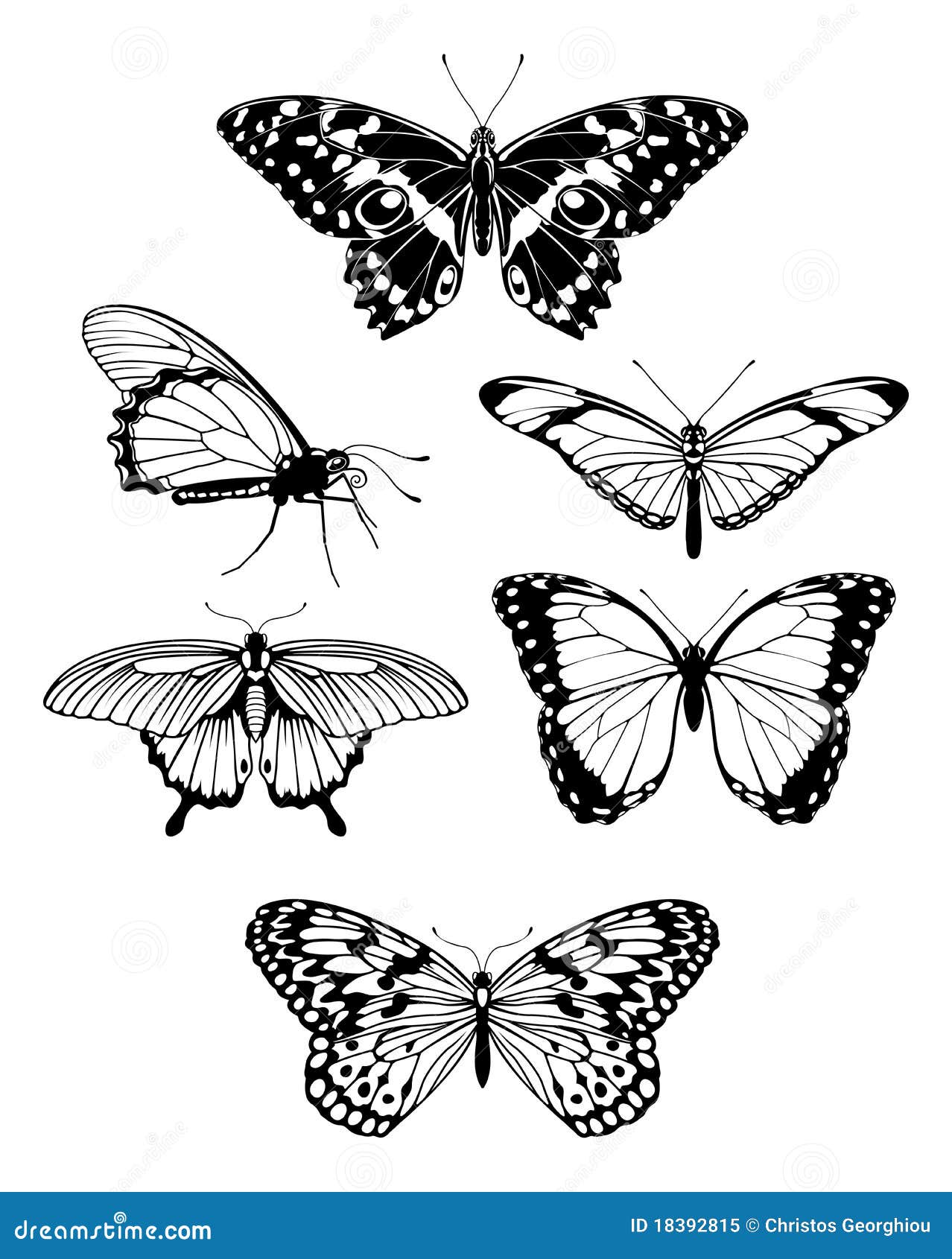 beautiful stylised butterfly outline silhouettes