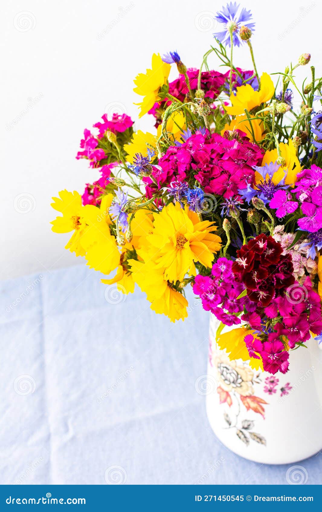 beautiful summer flowers