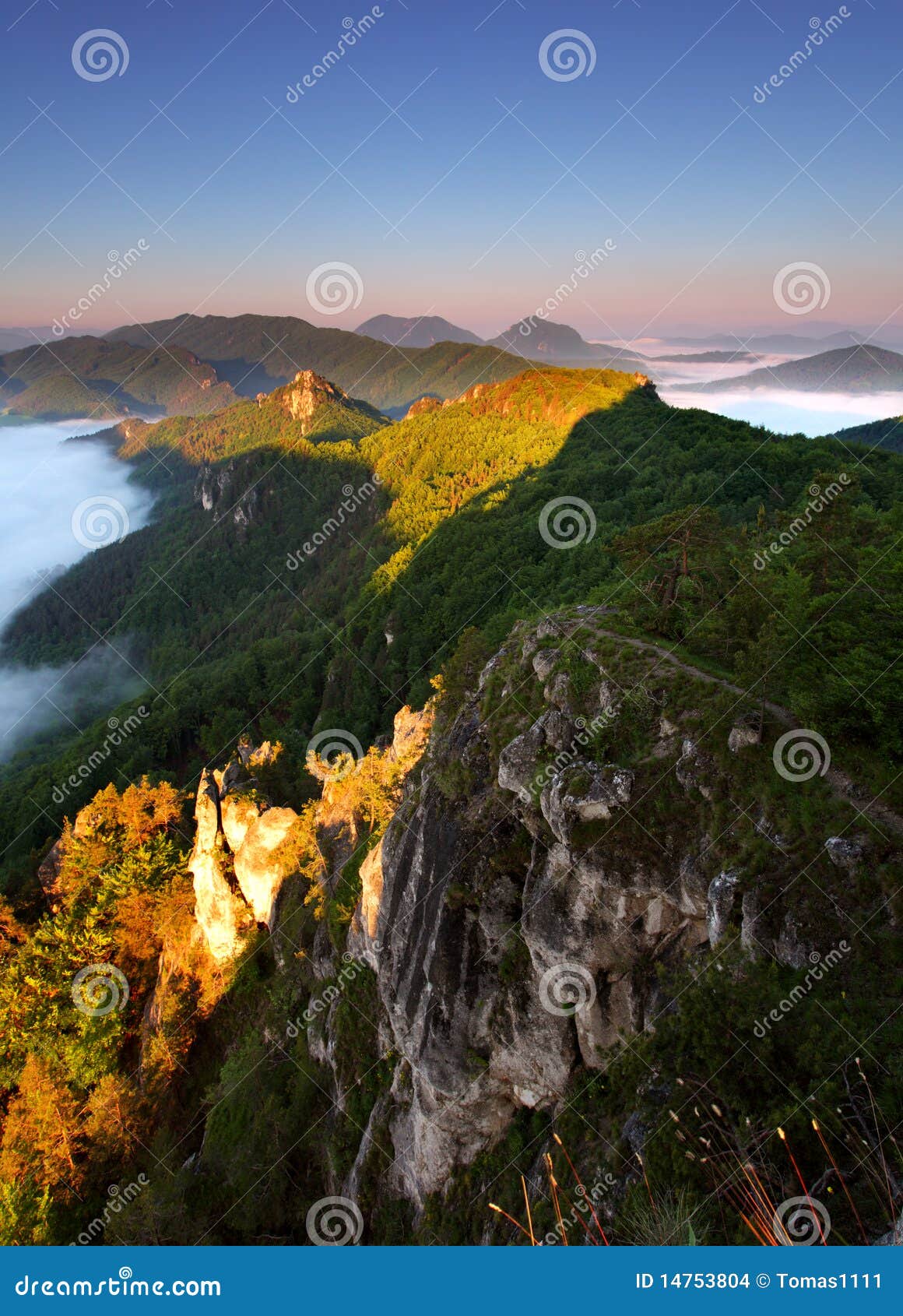 beautiful summer landscape with inversion