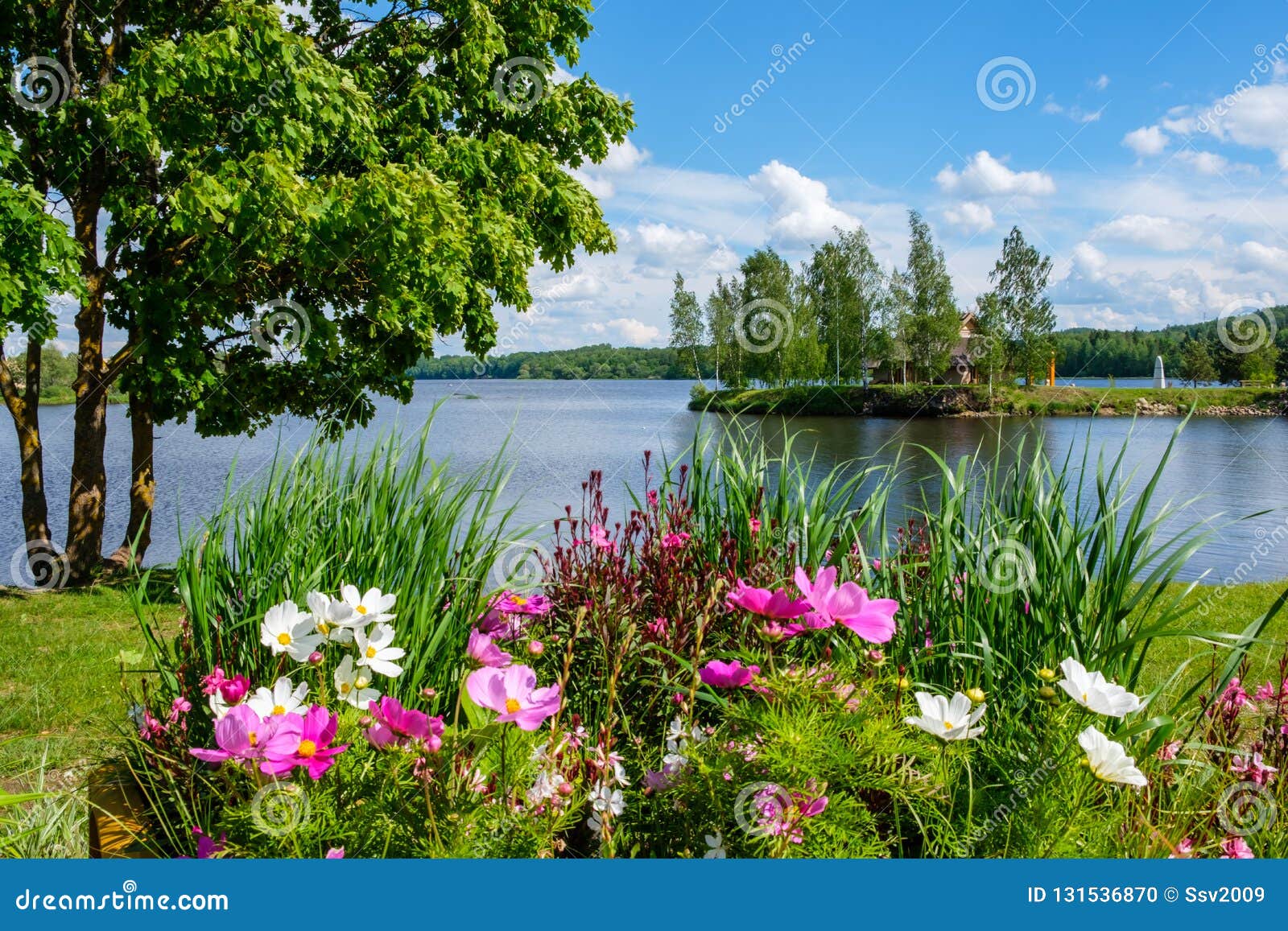 Beautiful Summer Landscape on Lake and with Flowers on Foreground Stock