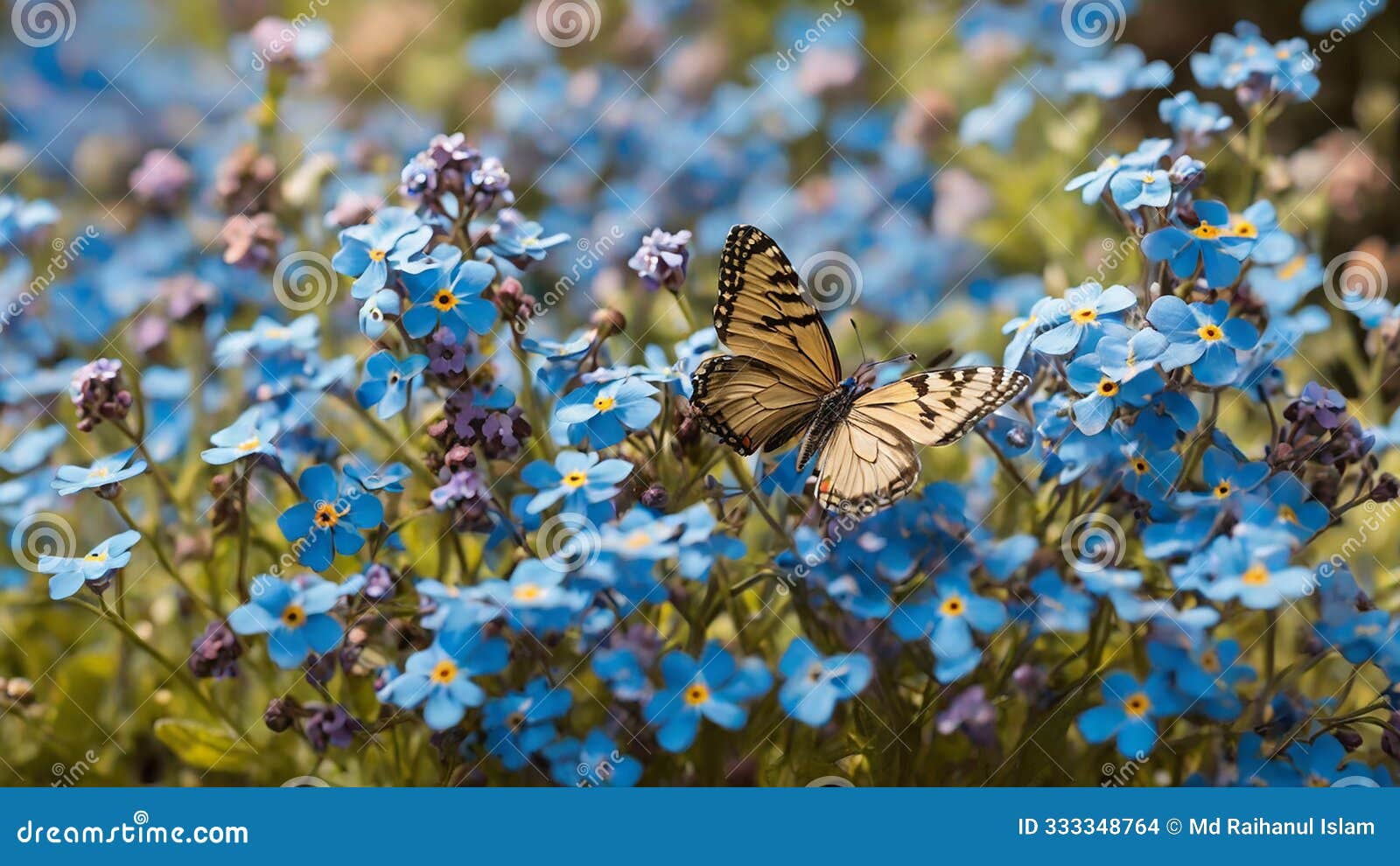 a beautiful summer meadow where two butterflies swirl and twirl.