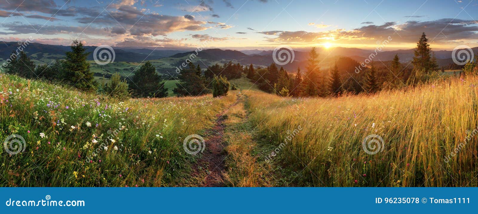 beautiful summer panoramic landscape in mountains - pieniny / ta