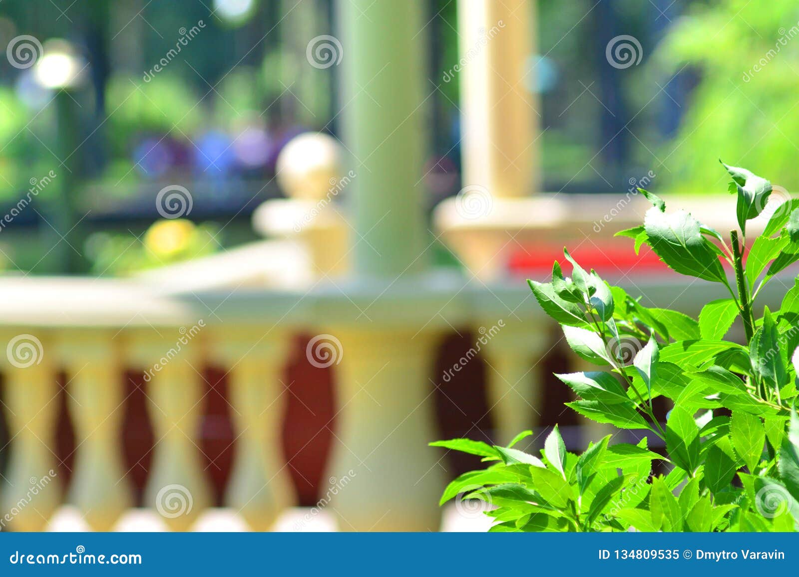 Beautiful Summer Park Background Stock Image - Image of spring, tree:  134809535