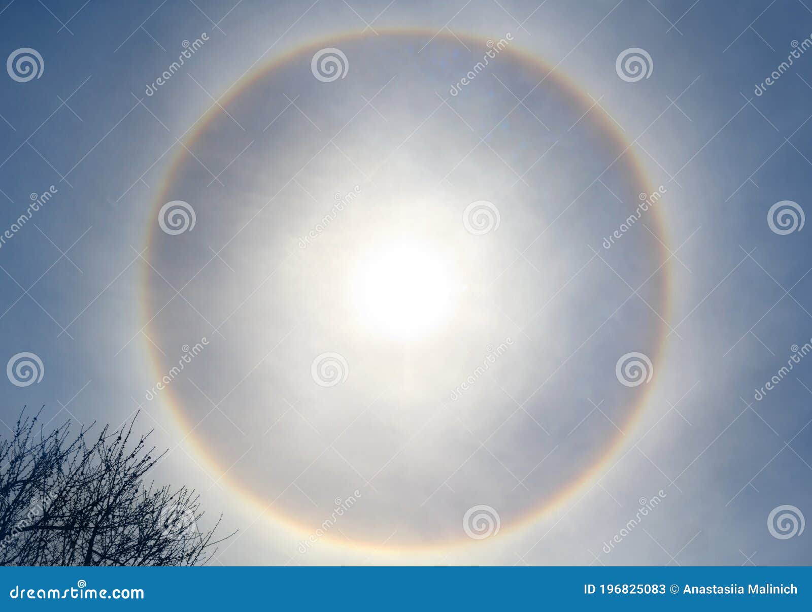 Spot a circle around the sun? It's probably a sun halo! | wgrz.com