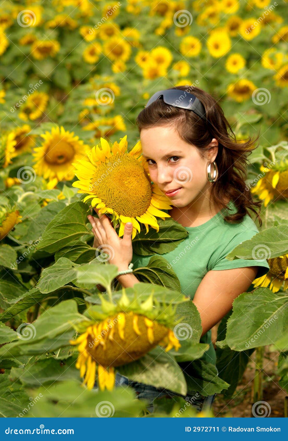 BEAUTIFUL SUNFLOWER GIRL stock image. Image of landscape 2972711