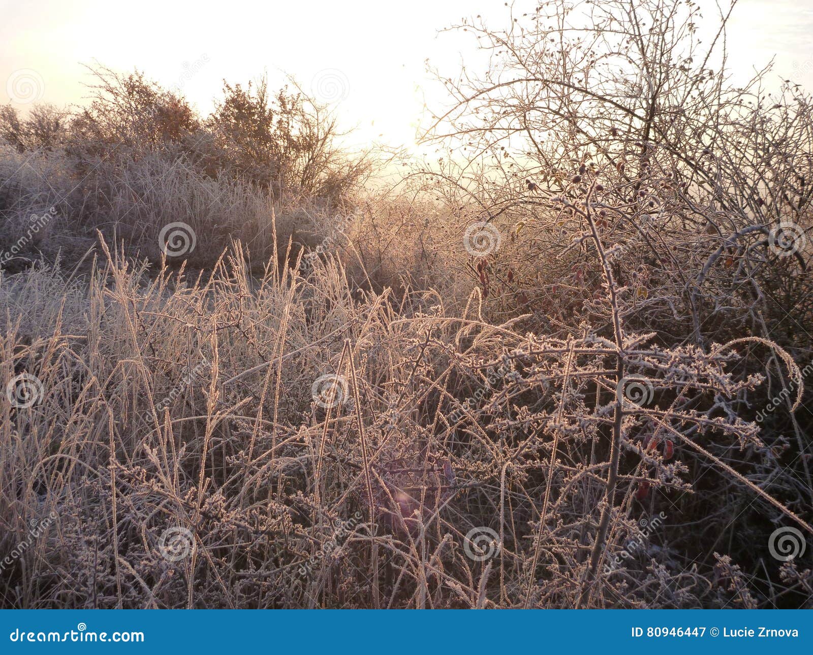 Beautiful Sunrise In A Chilly November Morning Stock Image Image Of