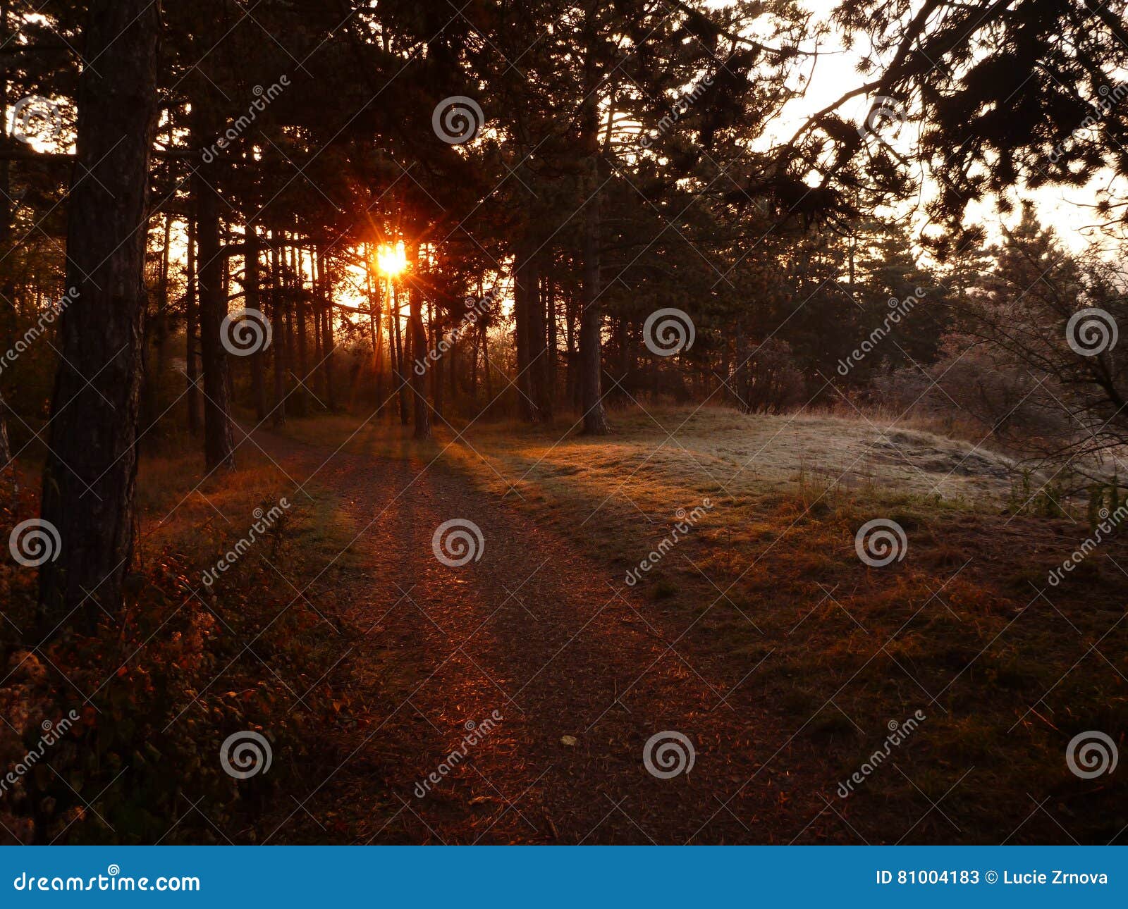 Beautiful Sunrise In A Chilly November Morning Stock Image Image Of