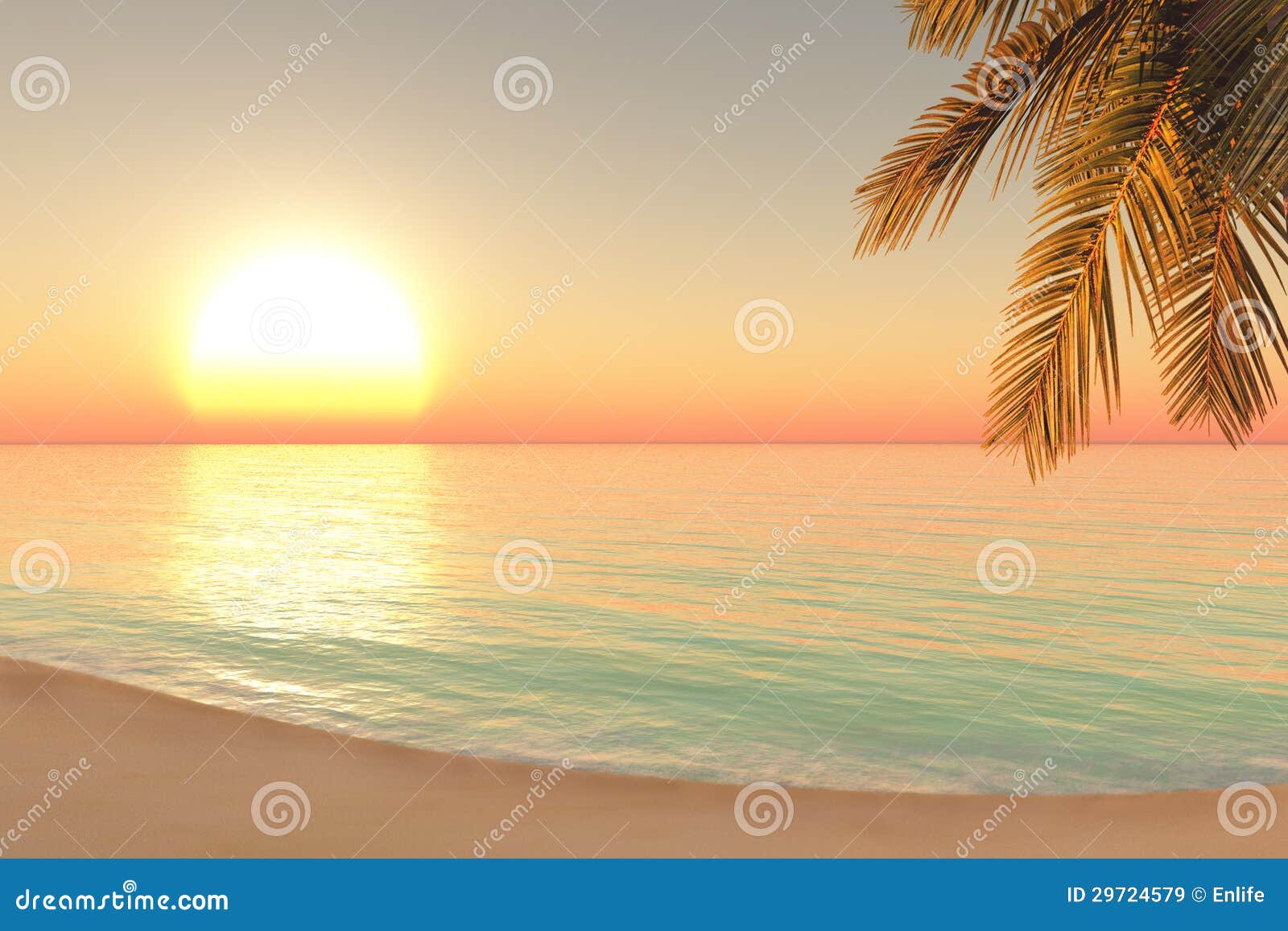 sunrise on the beach