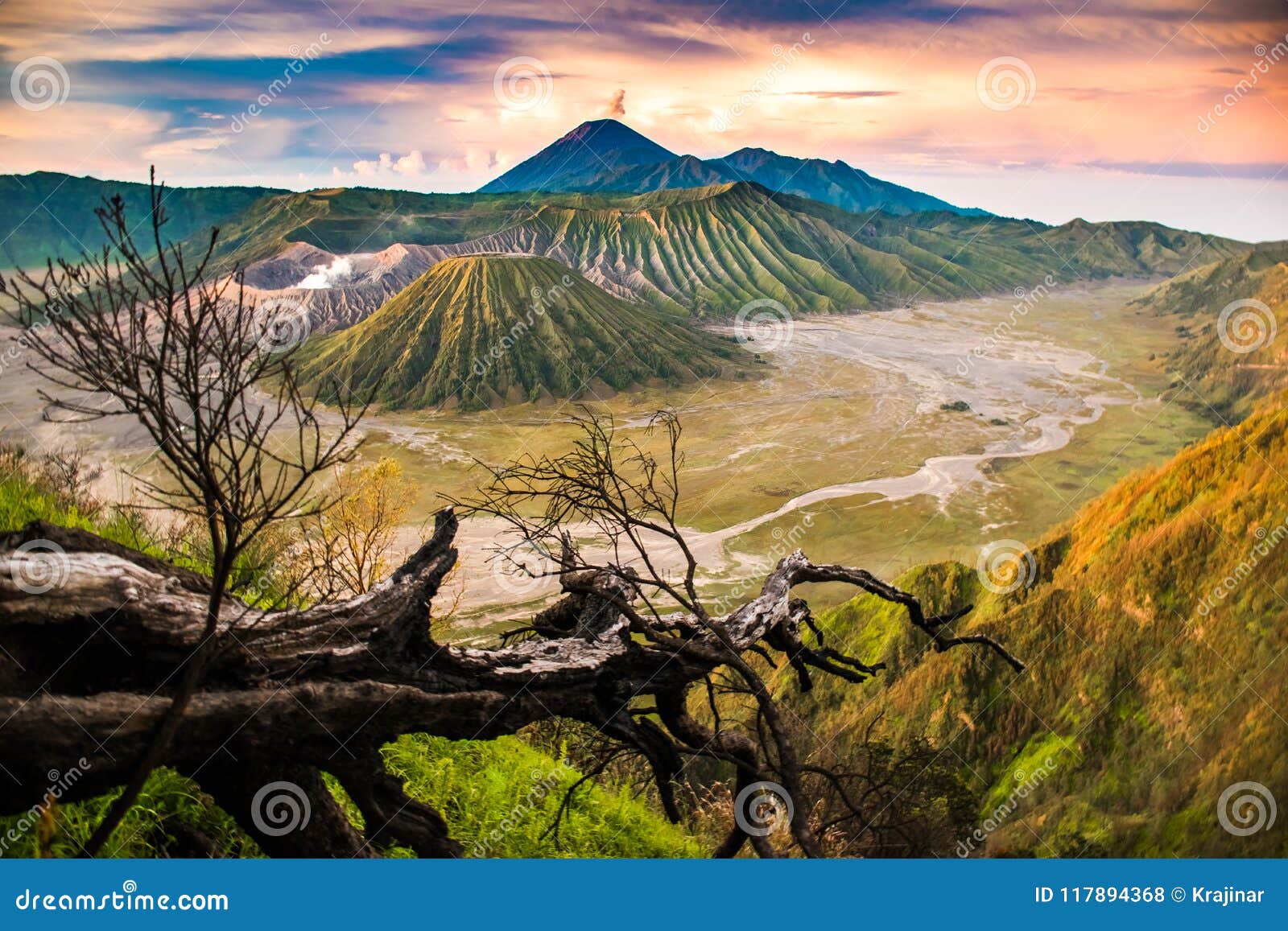 beautiful sunrise viewpoint with a tree mount bromo, east java, indonesia