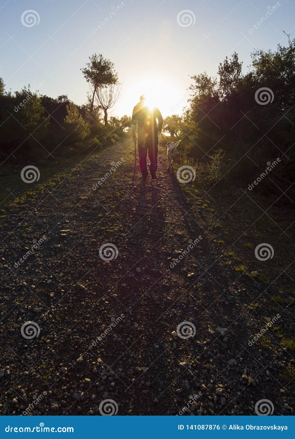 Beautiful Sunset Against The Sun And A Man Walking With A Dog In