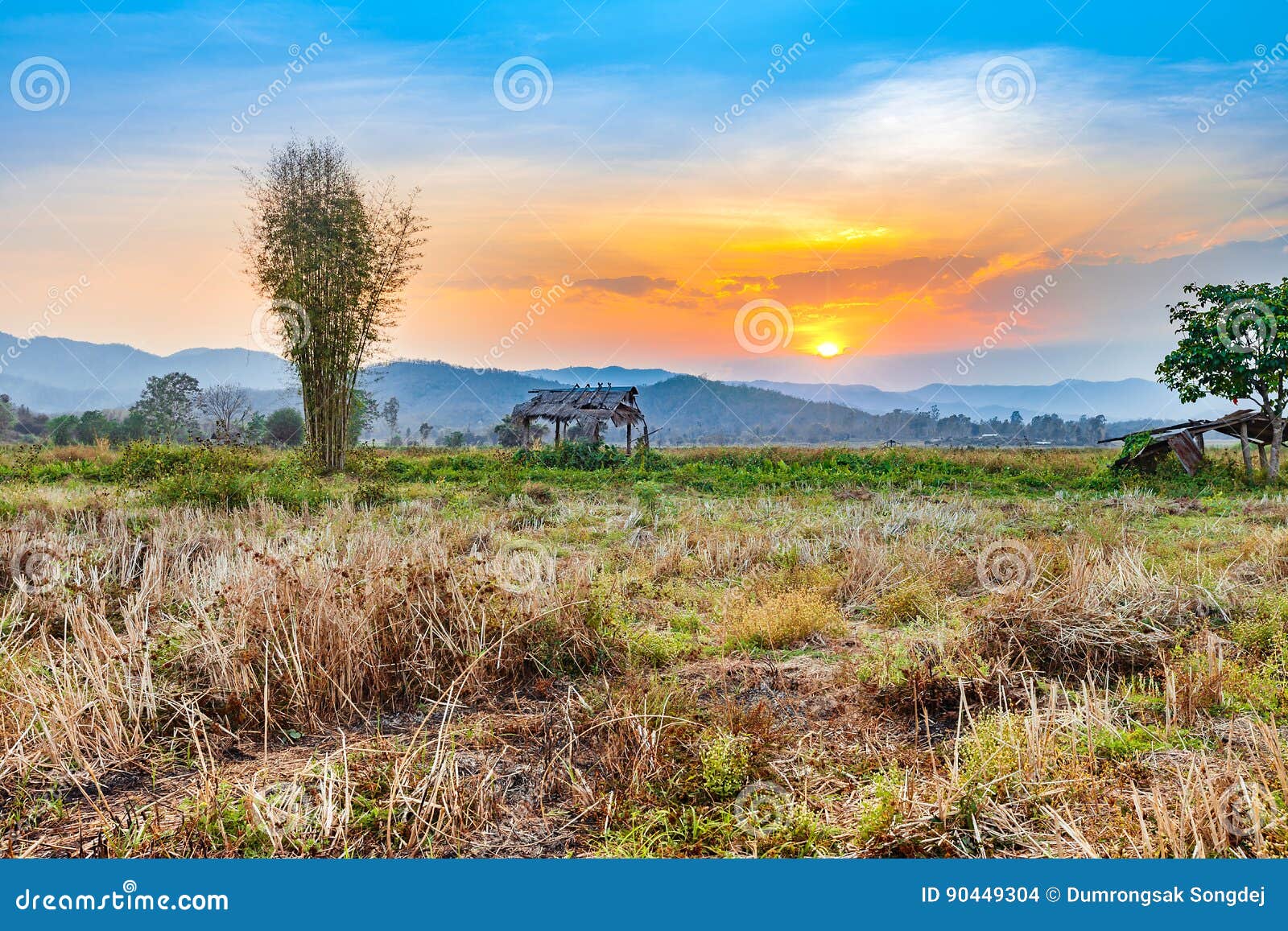 Beautiful sunset at countryside agriculture dry field and hut. Beautiful sunset at countryside agriculture dry field with the hut in harvest season of thailand