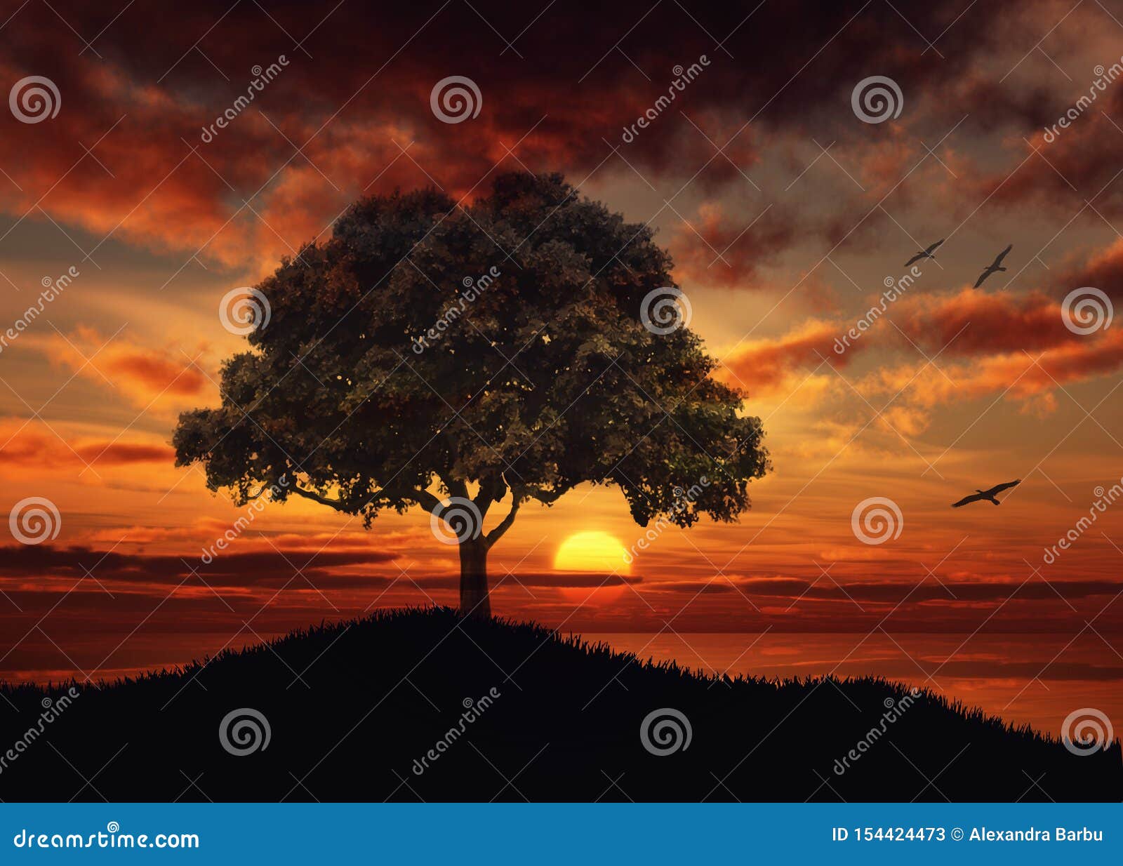 beautiful sunset over water tree silhouette nature landscape
