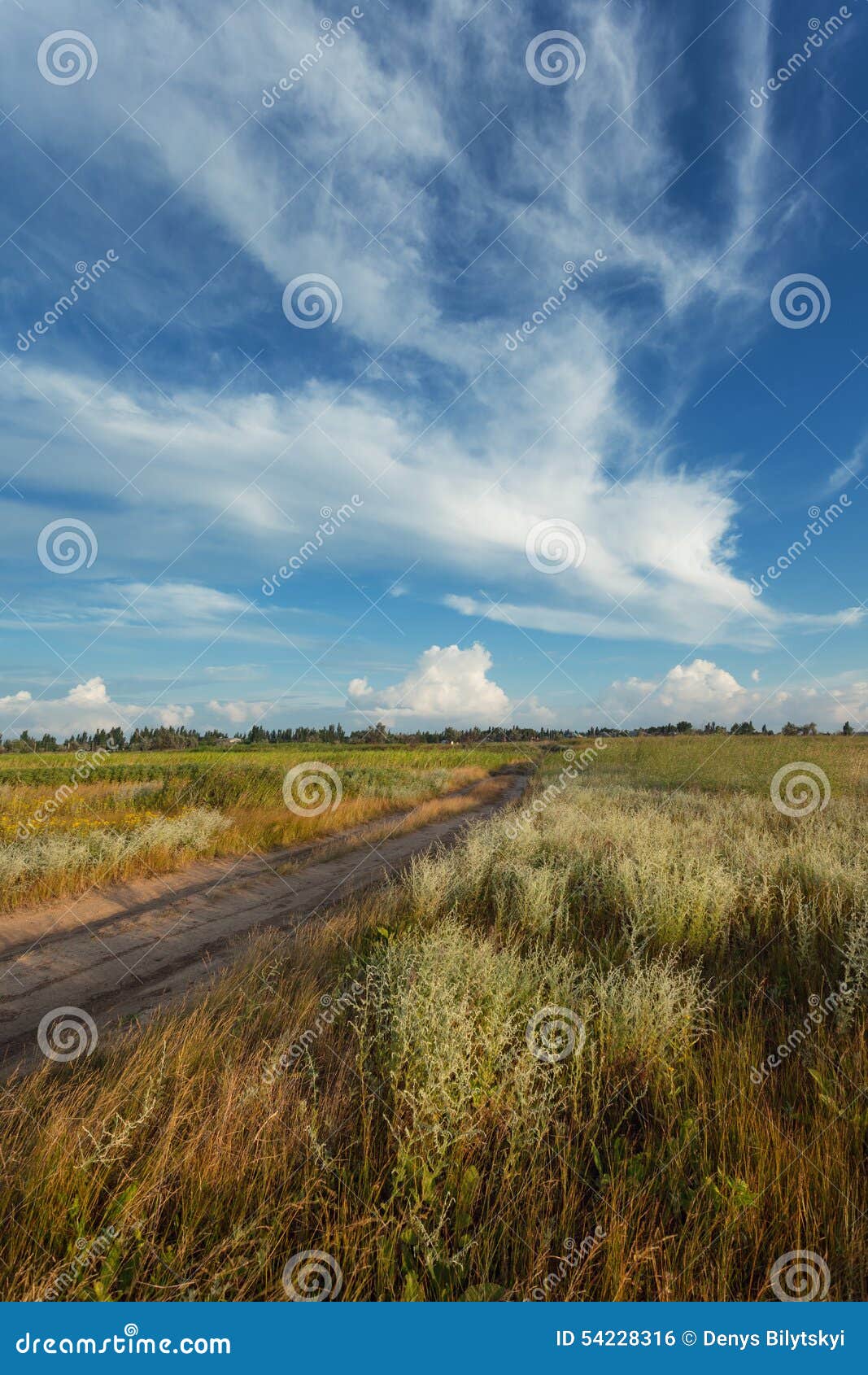 Beautiful Sunset Summer Landscape With Blue Sky Clouds Road Stock