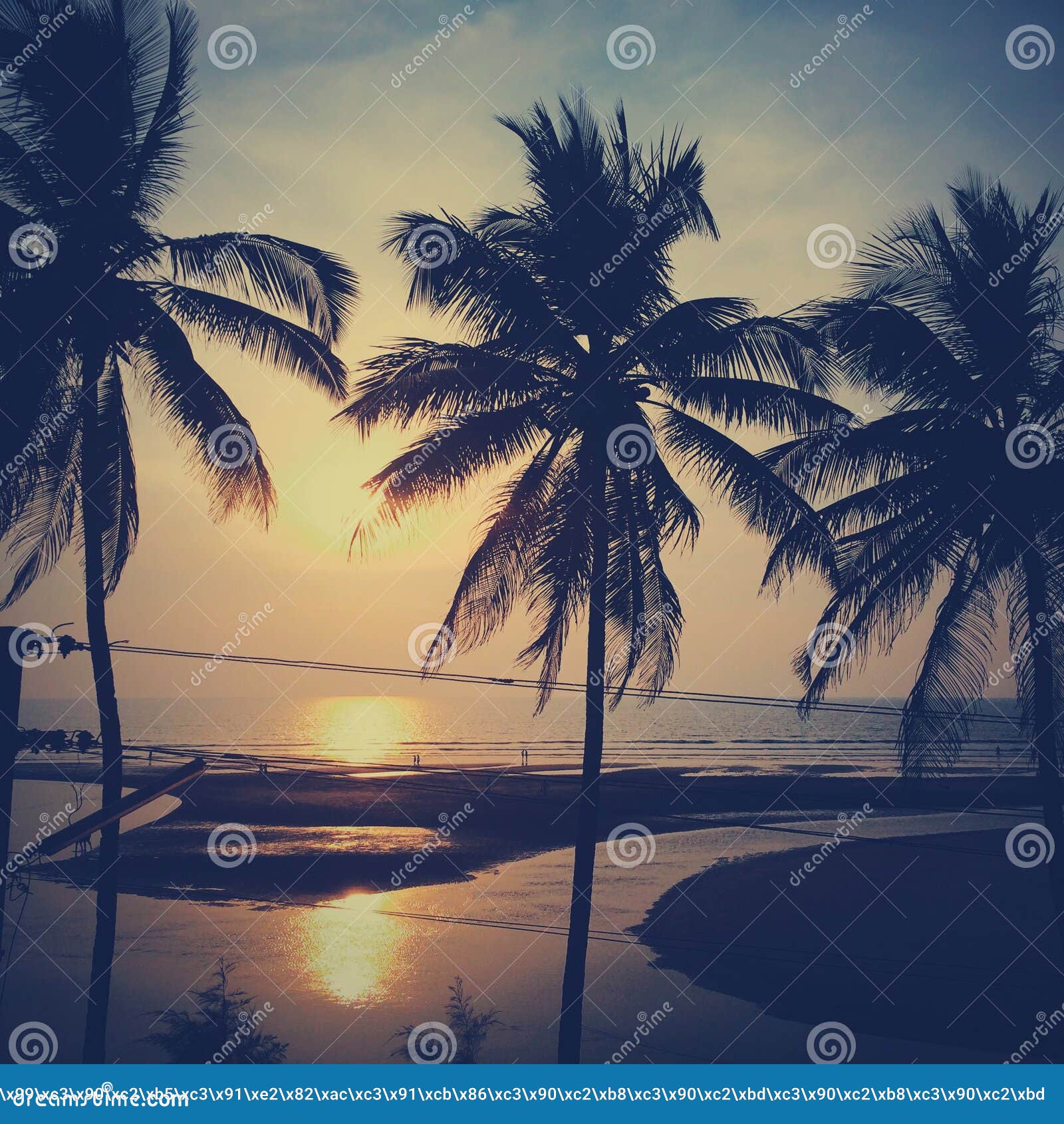 Download Beautiful Sunset At Tropical Beach With Palm Trees. Ocean ...