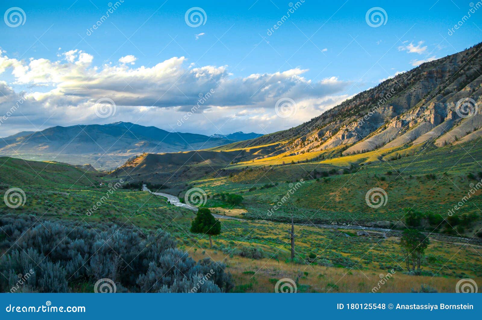 beautiful sunset view of yellowstone national park, southern part. mountain hills filled with green grass and trees in the summer