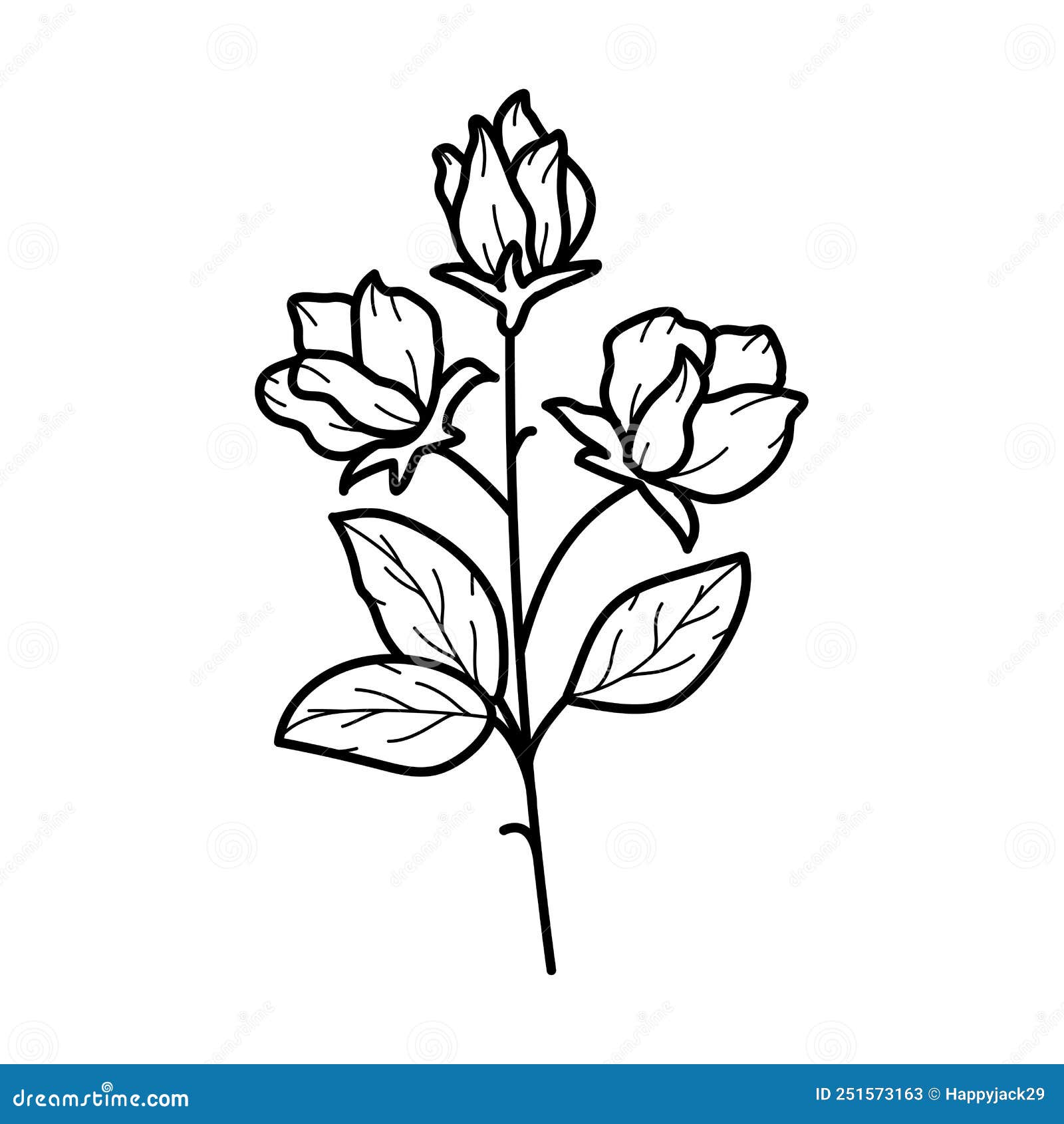 My Image 15