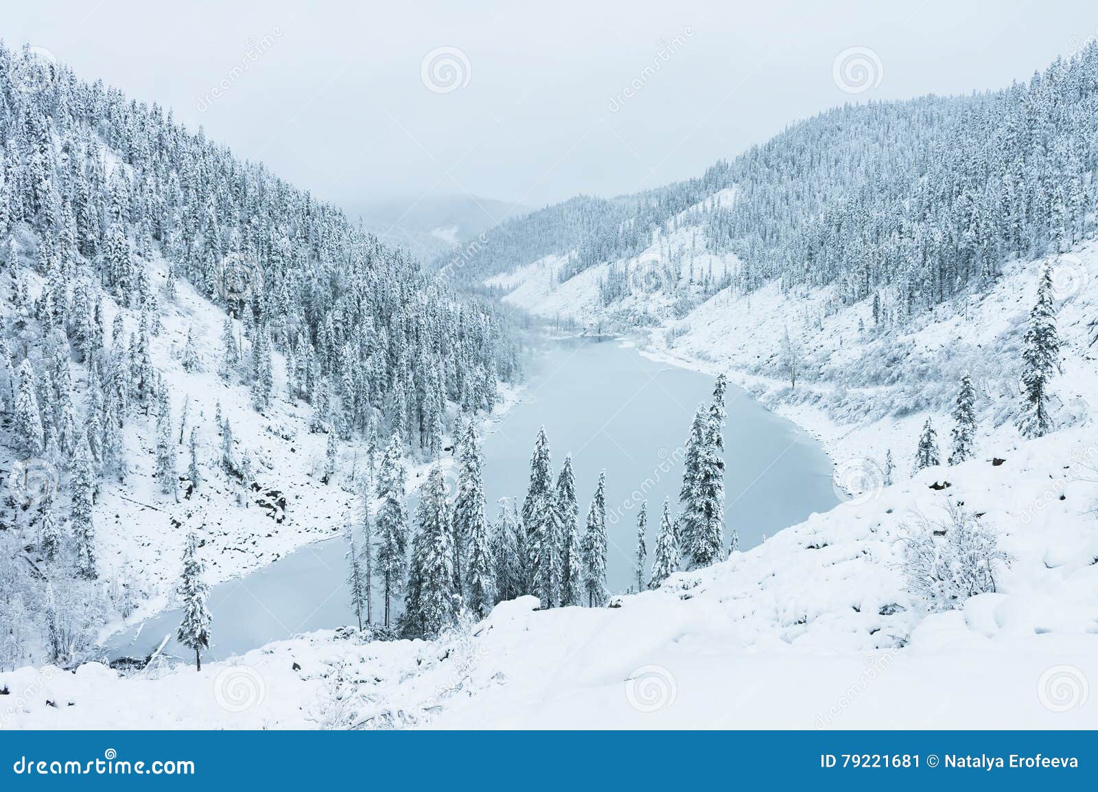 beautiful taiga hills on far east of russia in early october. taiga in winter. beautiful nature. snowy weather.