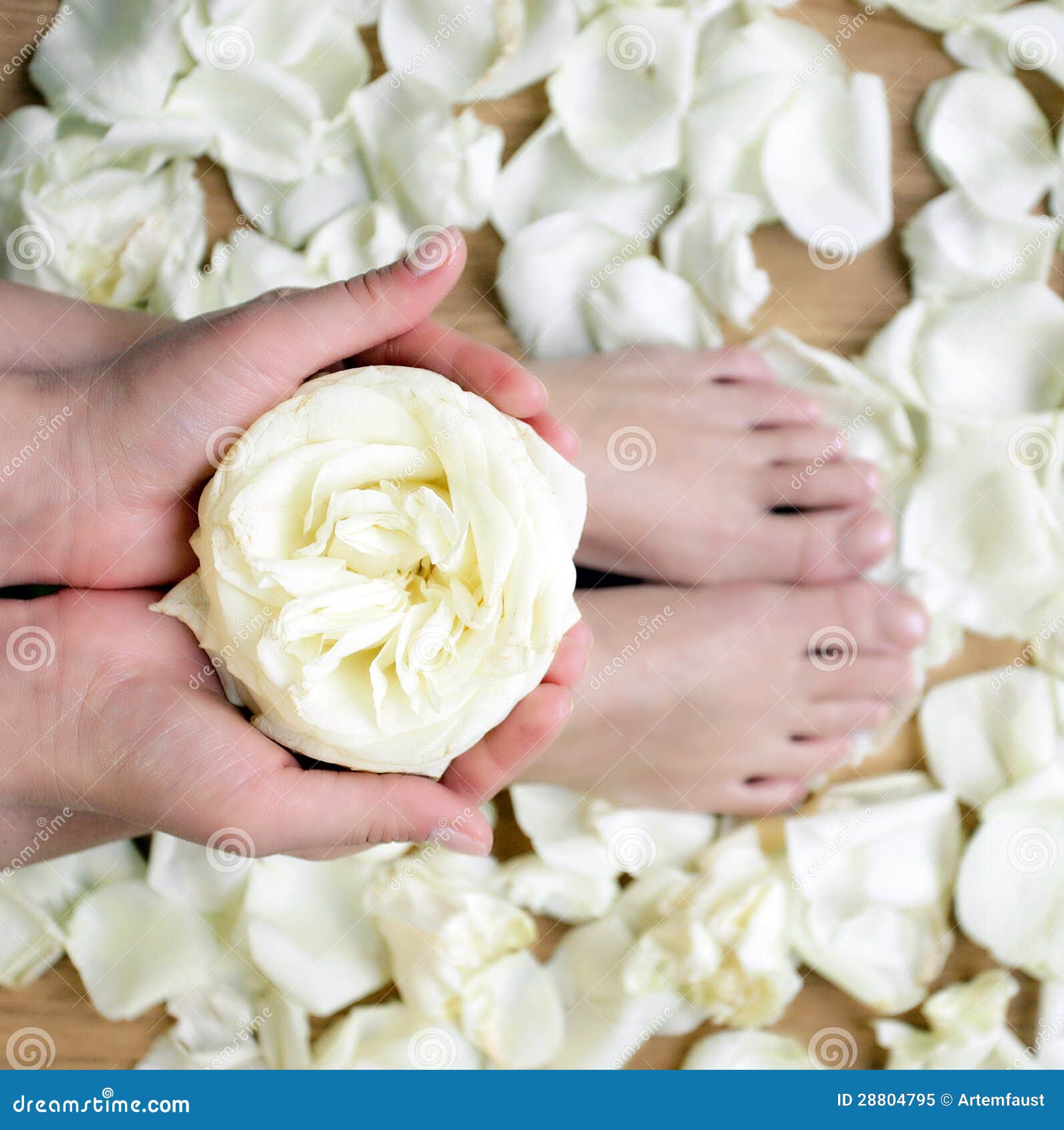 Beautiful Tanned Hands And Feet In Spa With Rose Petals Around Stock