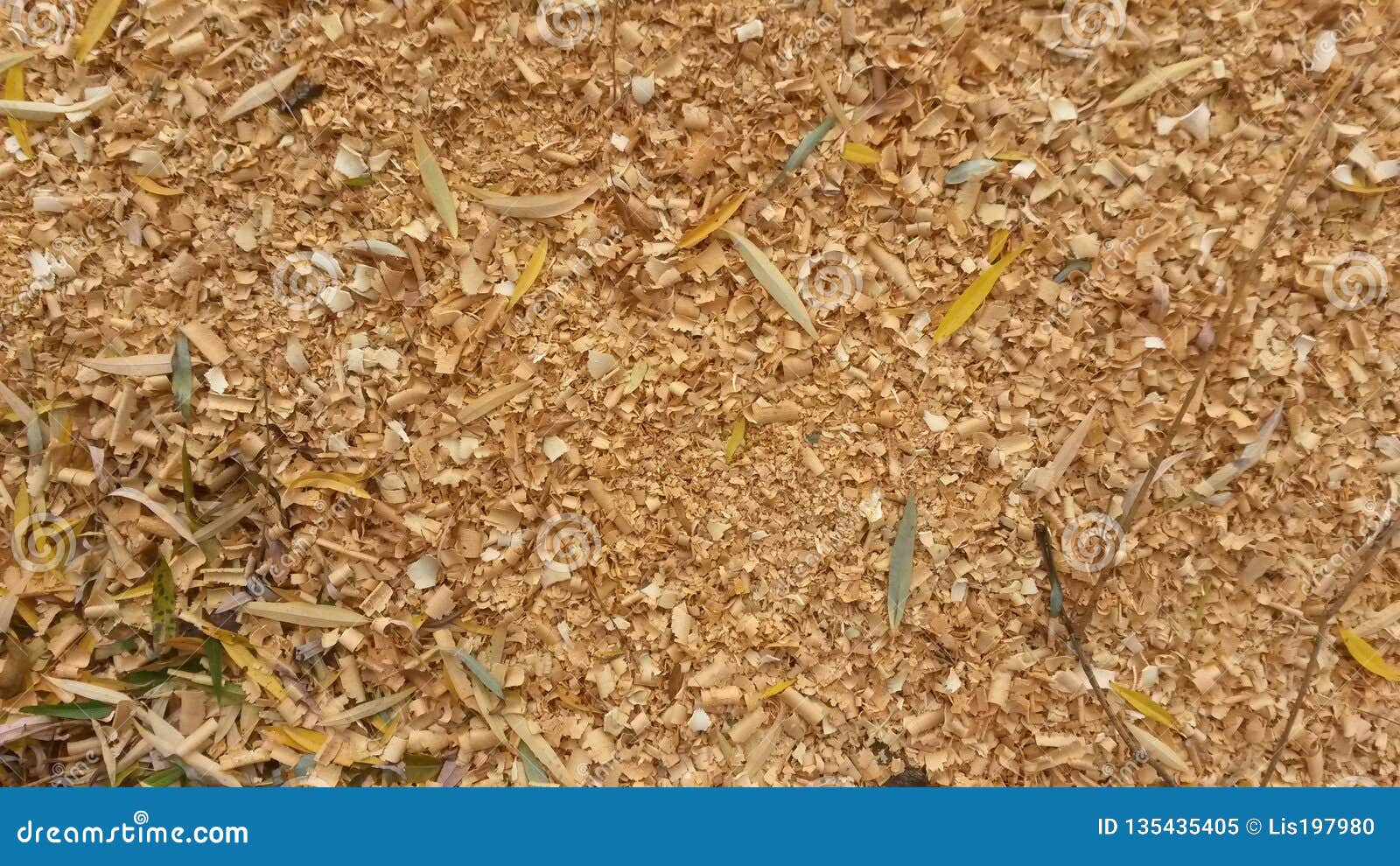 Scattering of Sawdust after Woodworking Stock Image - Image of