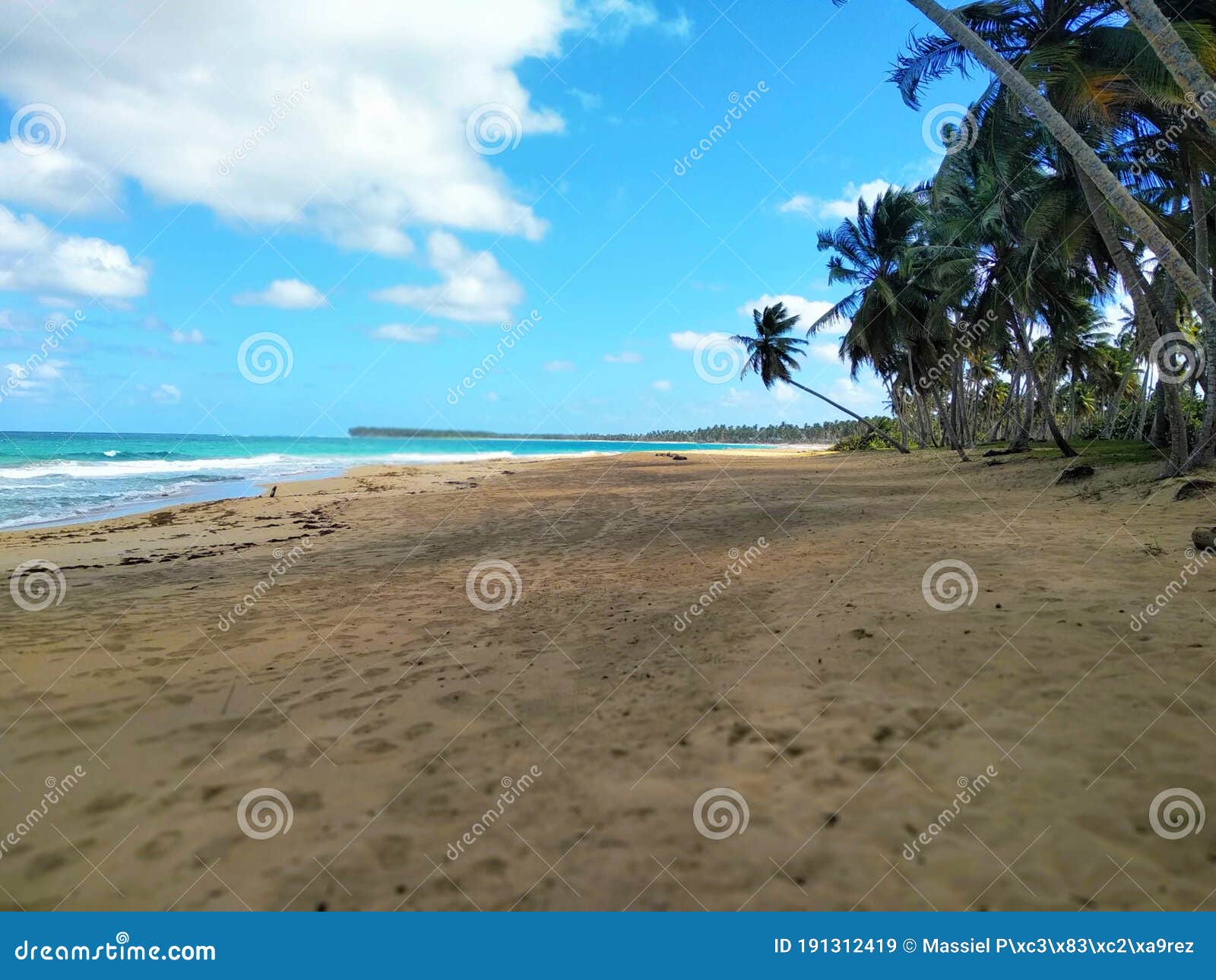 beautiful tropical beach bavaro puntacana dominican republic