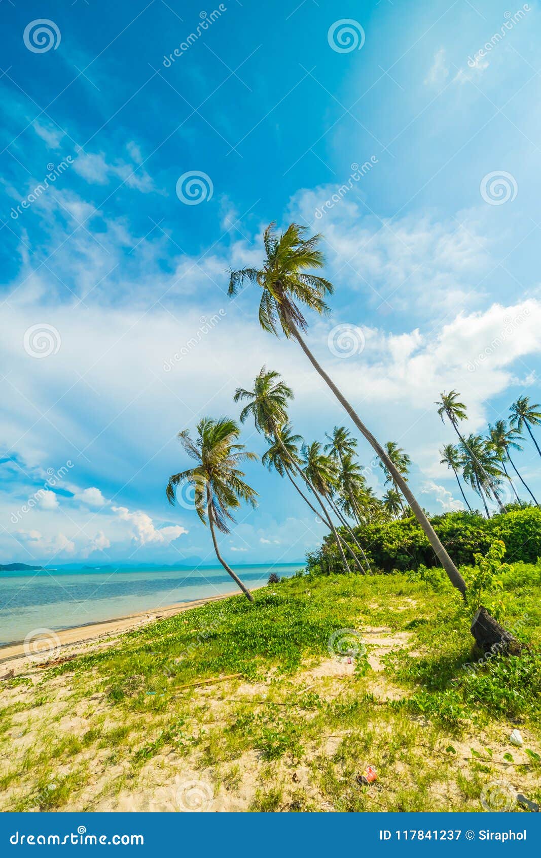 Beautiful Tropical Beach And Sea With Coconut Palm Tree In Paradise Island Stock Image Image