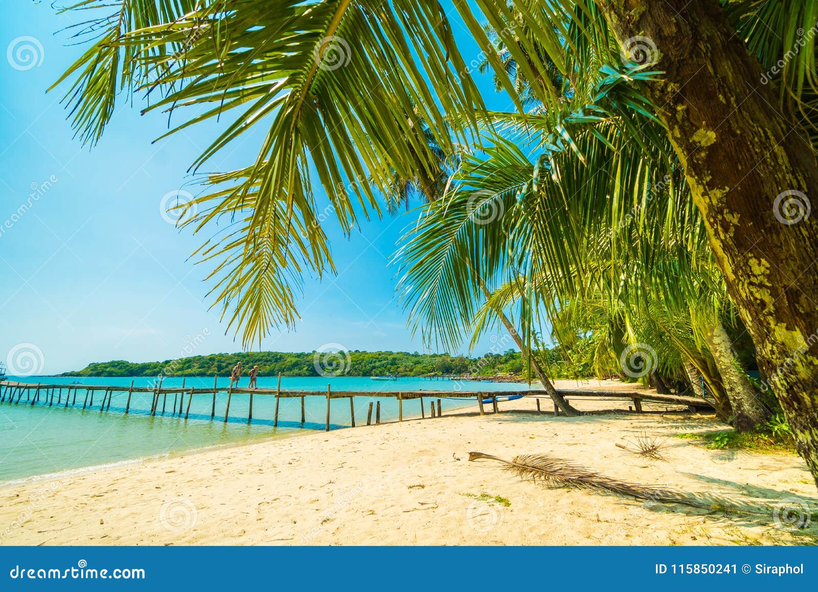 Beautiful Tropical Beach And Sea With Coconut Palm Tree In Paradise Island Stock Image Image