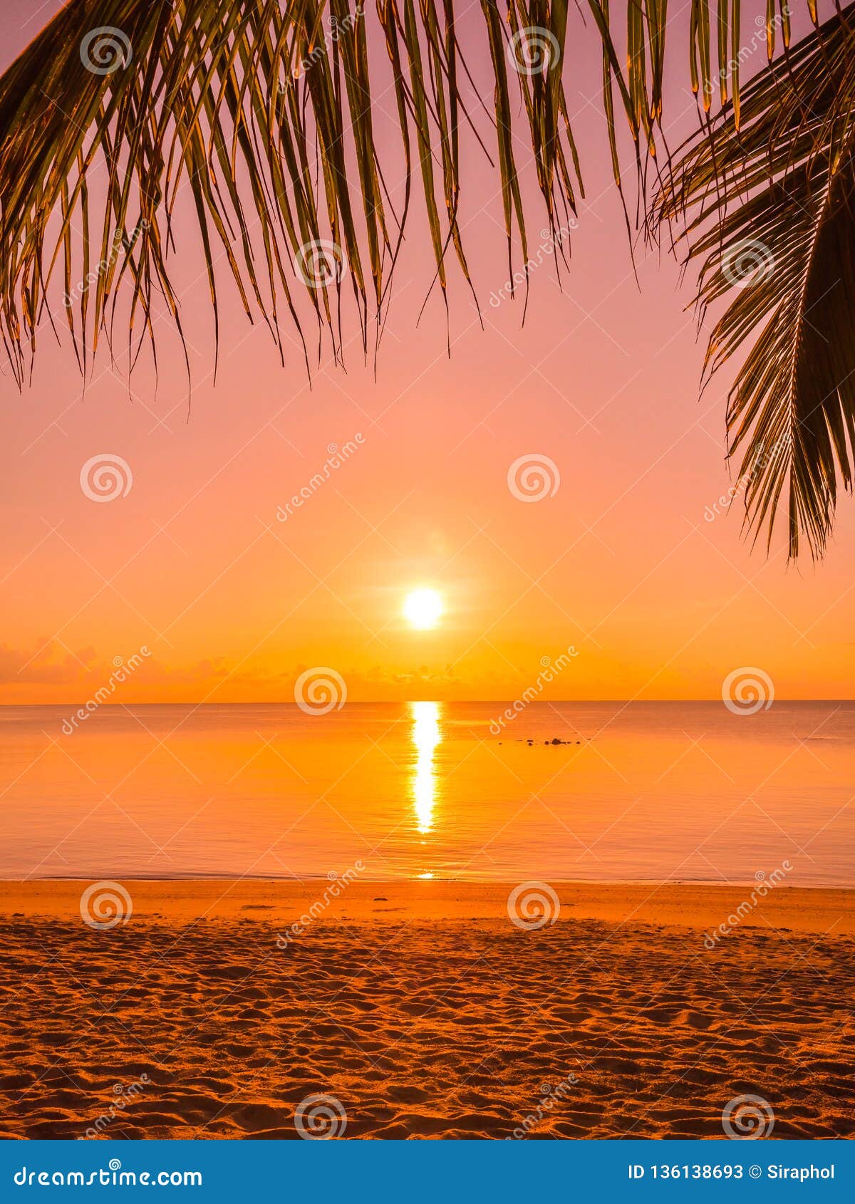 Beautiful Tropical Beach Sea And Ocean With Coconut Palm Tree At